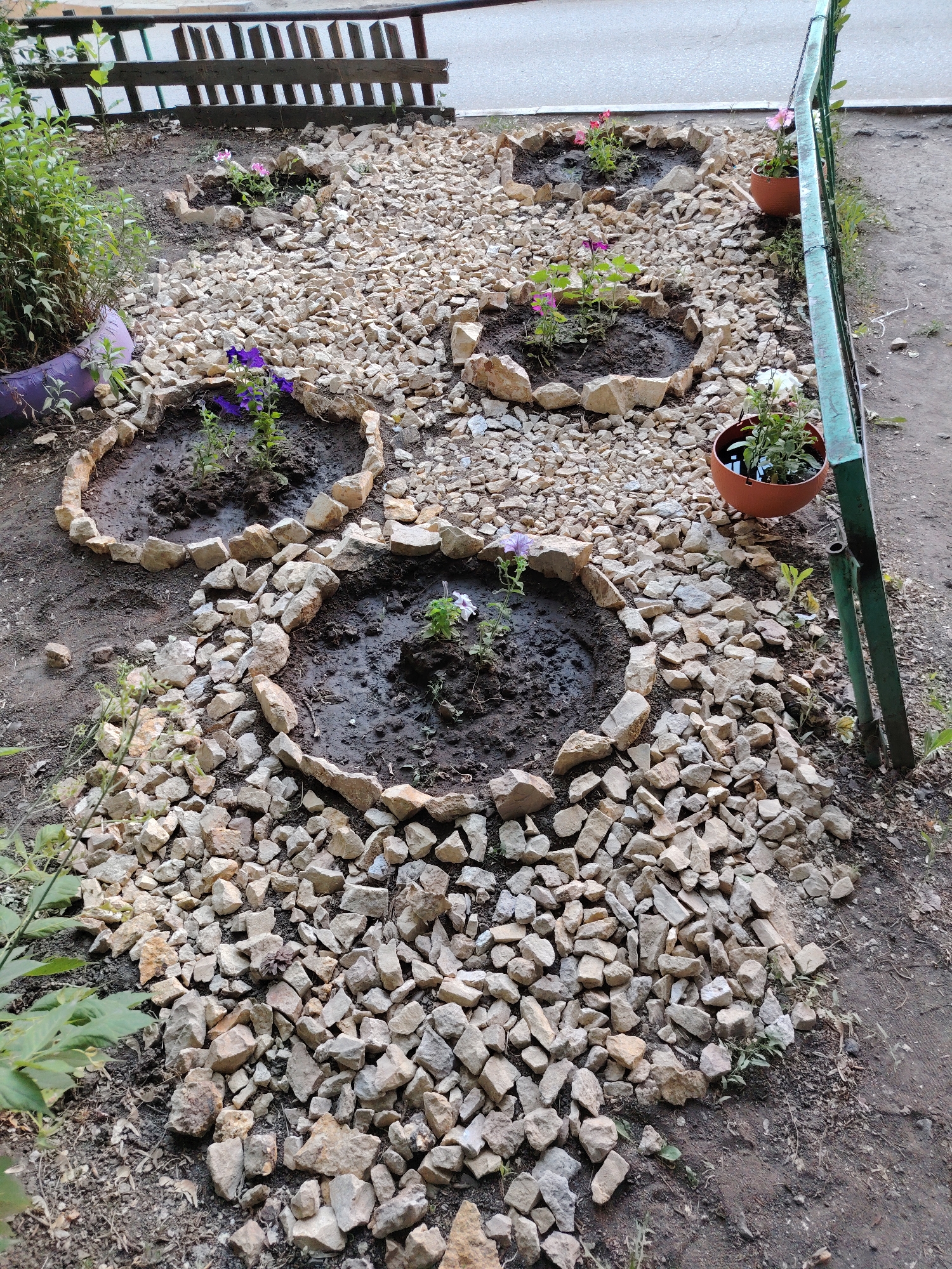 This is a medium shot, high-angle outdoor photograph of a garden bed constructed with rocks. The garden bed is filled with light-colored gravel and features several circular planting areas bordered by stones. Within these planting areas, dark soil is visible, with a few small plants and flowers. In the foreground, there are more rocks and some green foliage. In the background, a wooden fence runs horizontally across the top of the image, with a hint of a paved surface beyond it. To the right, a green metal fence with a chain is visible. There are three terra-cotta pots containing plants placed on the ground near the metal fence. The overall scene suggests a recently prepared or partially established garden in an outdoor setting. The lighting appears to be natural, indicating daytime, with no strong shadows suggesting either early morning or late afternoon. The ground is somewhat damp, suggesting recent watering or rain. The location is identified as Temirtau, Kazakhstan. There is no visible text in the image.