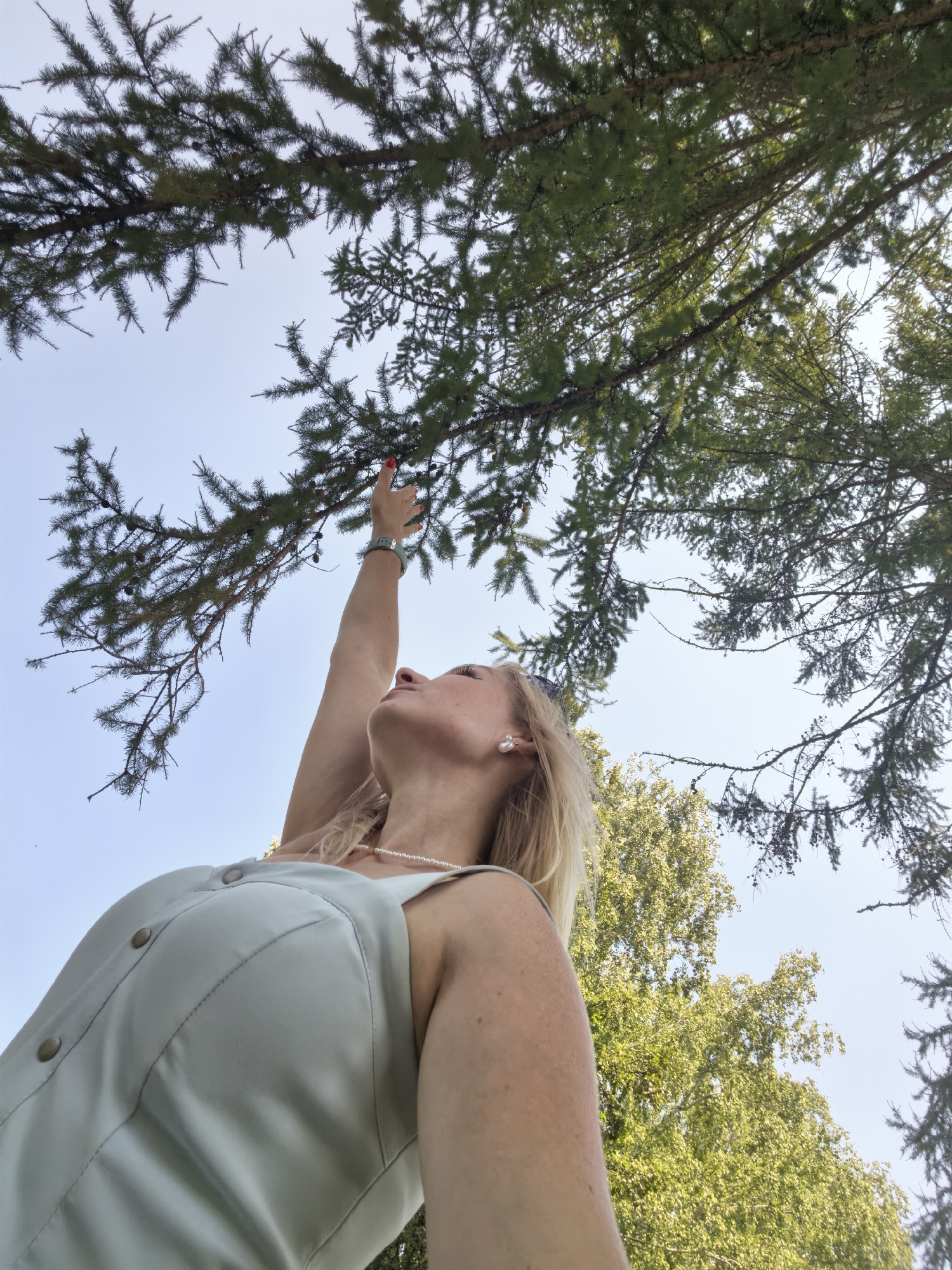 In Sterlitamak, Russia, a blonde woman in a light blue sleeveless dress with pearl necklaces and earrings reaches up towards pine branches against a clear sky. Her right arm is extended, and her fingers are about to touch a branch laden with pinecones. The perspective is low-angle, looking up through the trees, with the woman's face visible in profile as she gazes upwards. The scene appears to be set in a park or natural outdoor area.