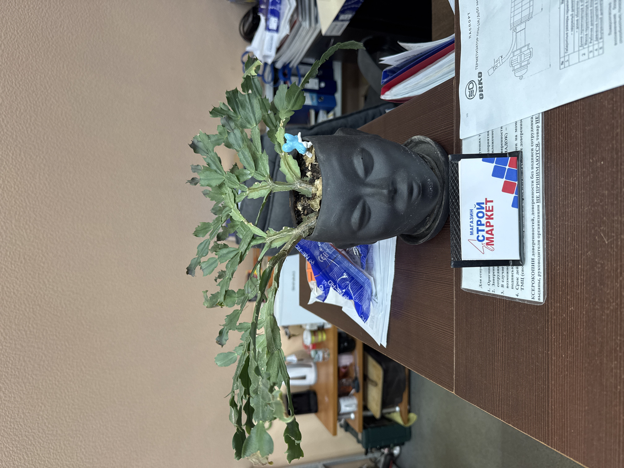 This is a vertically oriented, medium shot image taken indoors, likely in an office or workshop. The primary subject is a potted plant with green, segmented leaves, housed in a black, head-shaped planter. A small, blue figurine, possibly a person, is perched on the plant's stem.
The planter sits on a brown, textured desk. Behind the planter, stacks of papers and documents are visible, suggesting a workspace. Some of these documents appear to be technical manuals or forms, with visible text in Russian, including "ПАСПОРТ" (Passport), "ГЕРМЕТИЗАТОР" (Sealer), and branding from "ORRO". There's also a business card or label that reads "МАГАЗИН СТРОЙ МАРКЕТ" (Shop STROY MARKET).
Further in the background, more office equipment and furniture are dimly lit. The overall lighting suggests an indoor environment, possibly during daylight hours due to the natural light filtering in, but no specific time of day can be determined. The scene appears to be in Usinsk, Russia, as indicated by the location context. There are no people prominently featured, and the emotions conveyed are neutral, focusing on the arrangement of objects. The image is sharp and focuses on the plant and its immediate surroundings.