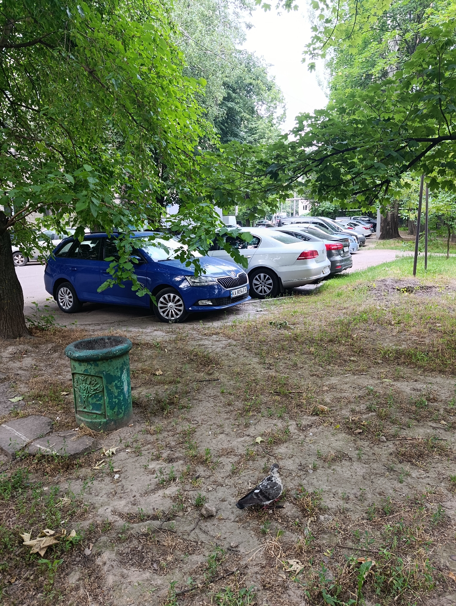 A pigeon stands on a patch of dry grass and dirt in front of a row of parked cars. The cars are parked on a paved surface under a canopy of green trees. A green decorative trash can with a tree motif is visible in the foreground to the left of the pigeon. The location is the city of Dnipro, Ukraine.