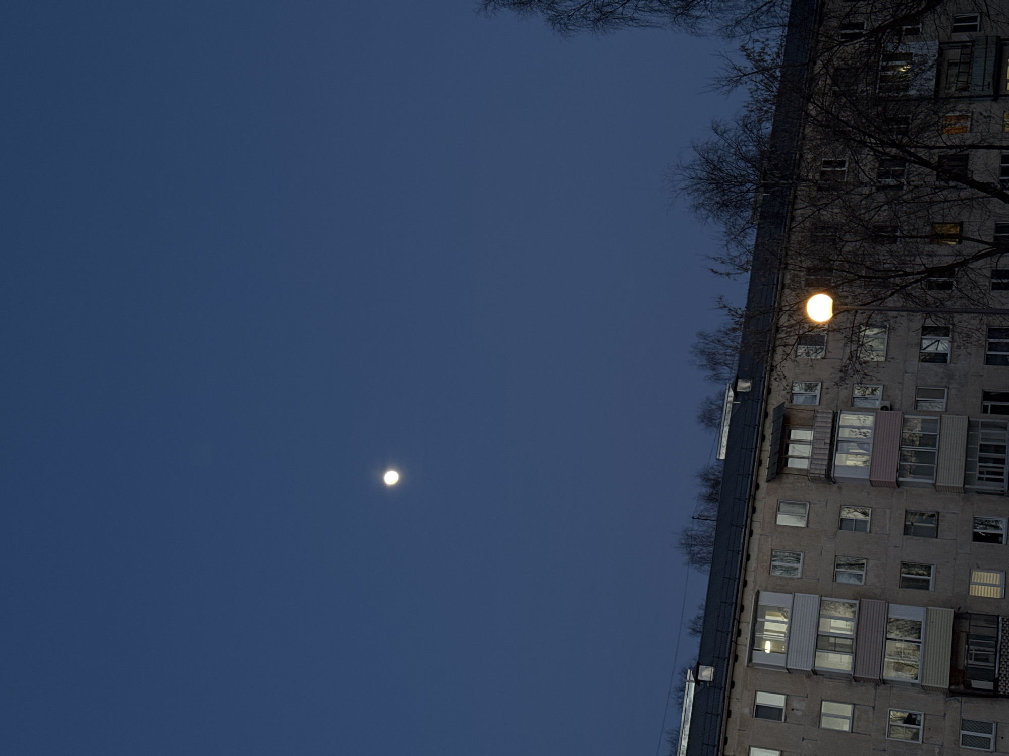 The image shows a nighttime scene in Izhevsk, Russia. A multi-story apartment building occupies the right side of the frame, its facade illuminated by a street lamp attached to the building. Many windows are visible, some with lights on inside. Bare tree branches are silhouetted against the building. The dark blue sky fills the left side of the frame, with a small, bright moon visible near the center.