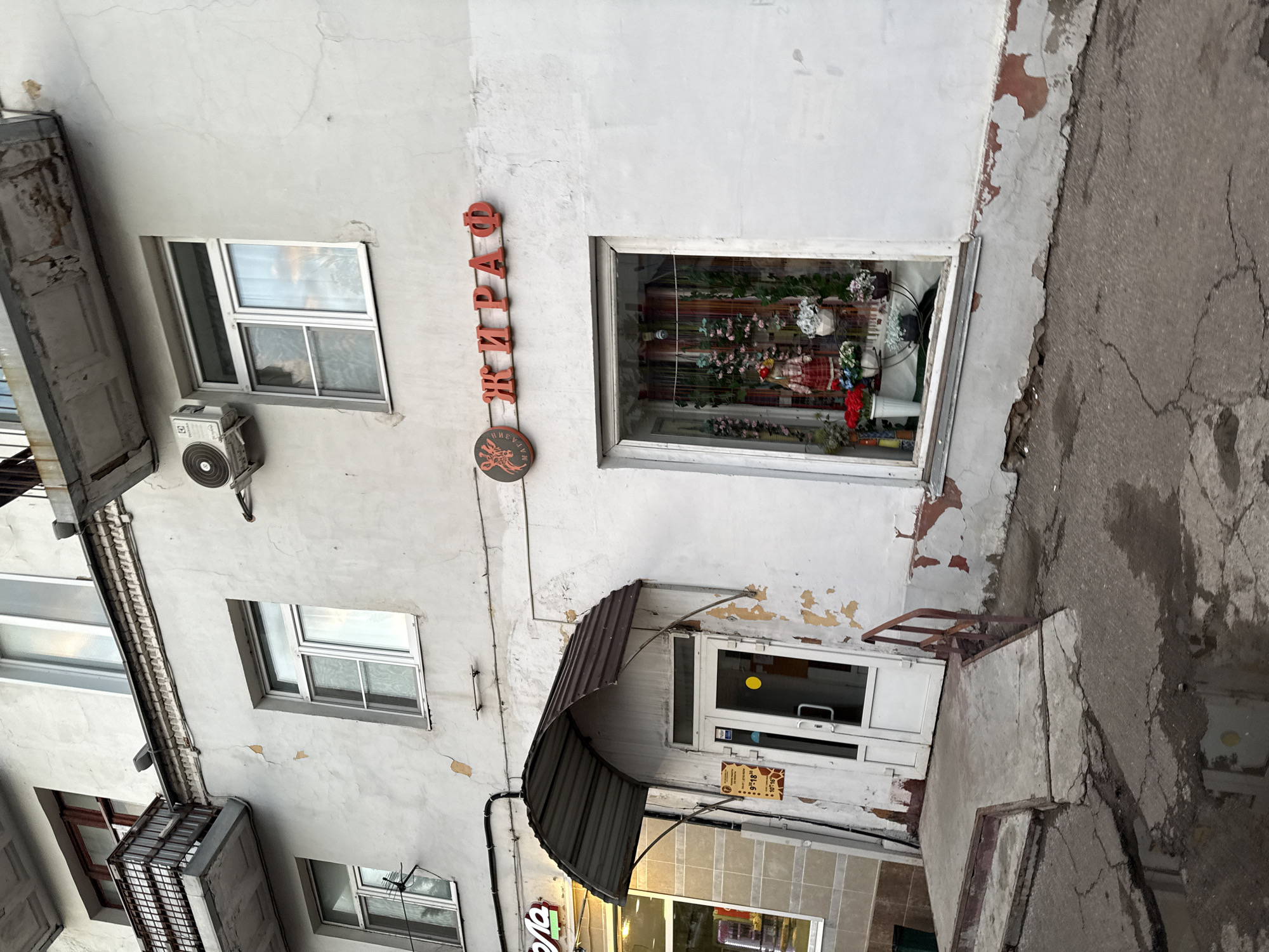 The image shows the facade of a commercial building in Kazan, Russia. A sign with red Cyrillic lettering that reads "ЖИРАФ" (Giraffe) is mounted above a storefront window. To the left of the storefront, there is an entrance with a metal awning. The building's exterior is painted white and shows signs of wear and tear, with peeling paint and cracks. In front of the building, there is a cracked asphalt sidewalk with puddles of water. The window displays what appears to be a shop selling flowers and dolls.