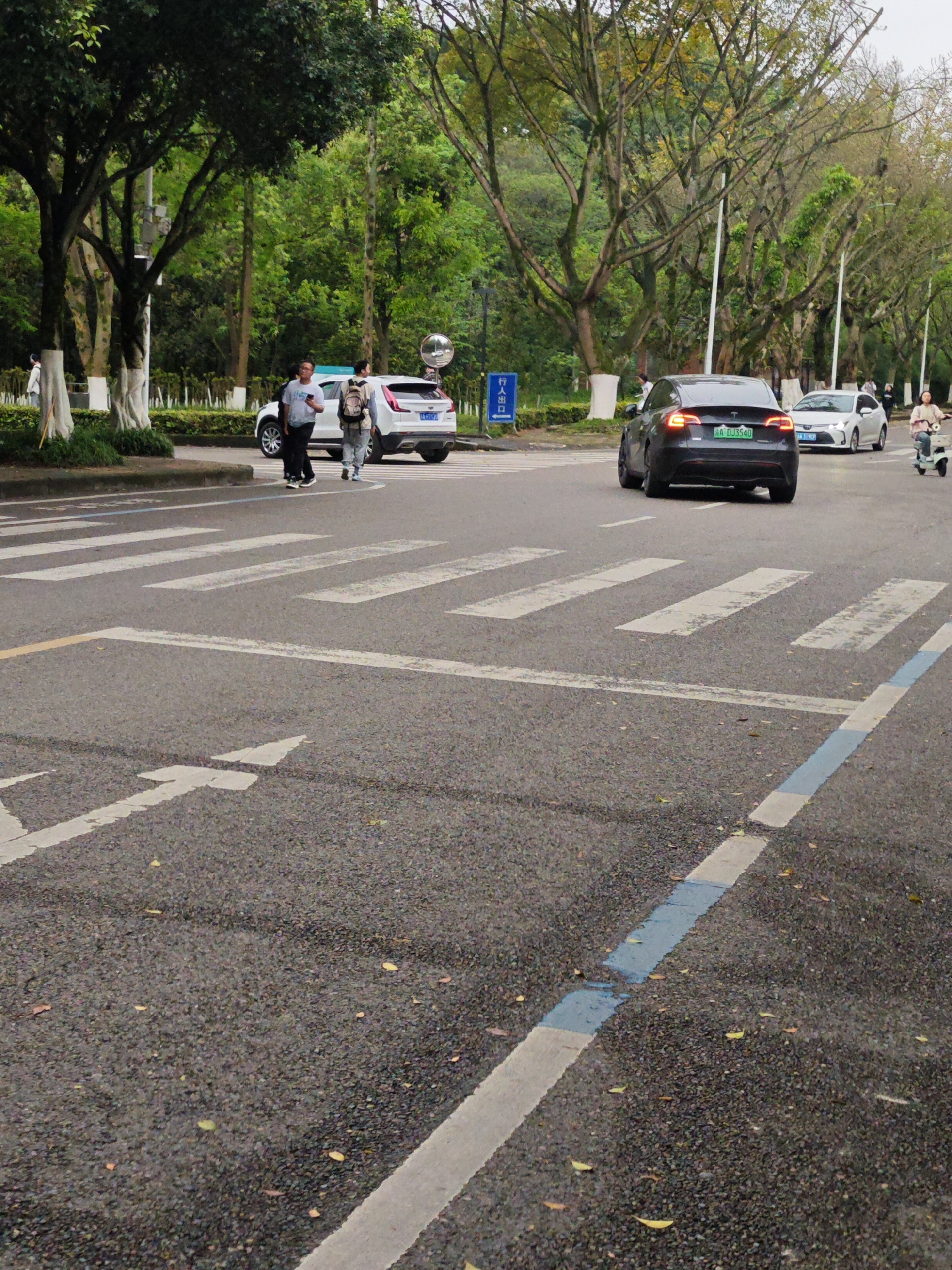 A street scene in the Chongqing High-tech Zone, China, shows a crosswalk with two pedestrians crossing. A dark gray Tesla with the license plate "A DJ3540" is driving on the road. A white car with the license plate "A 1A1126" is nearby. A scooter is driving on the side of the road. The scene is surrounded by trees.