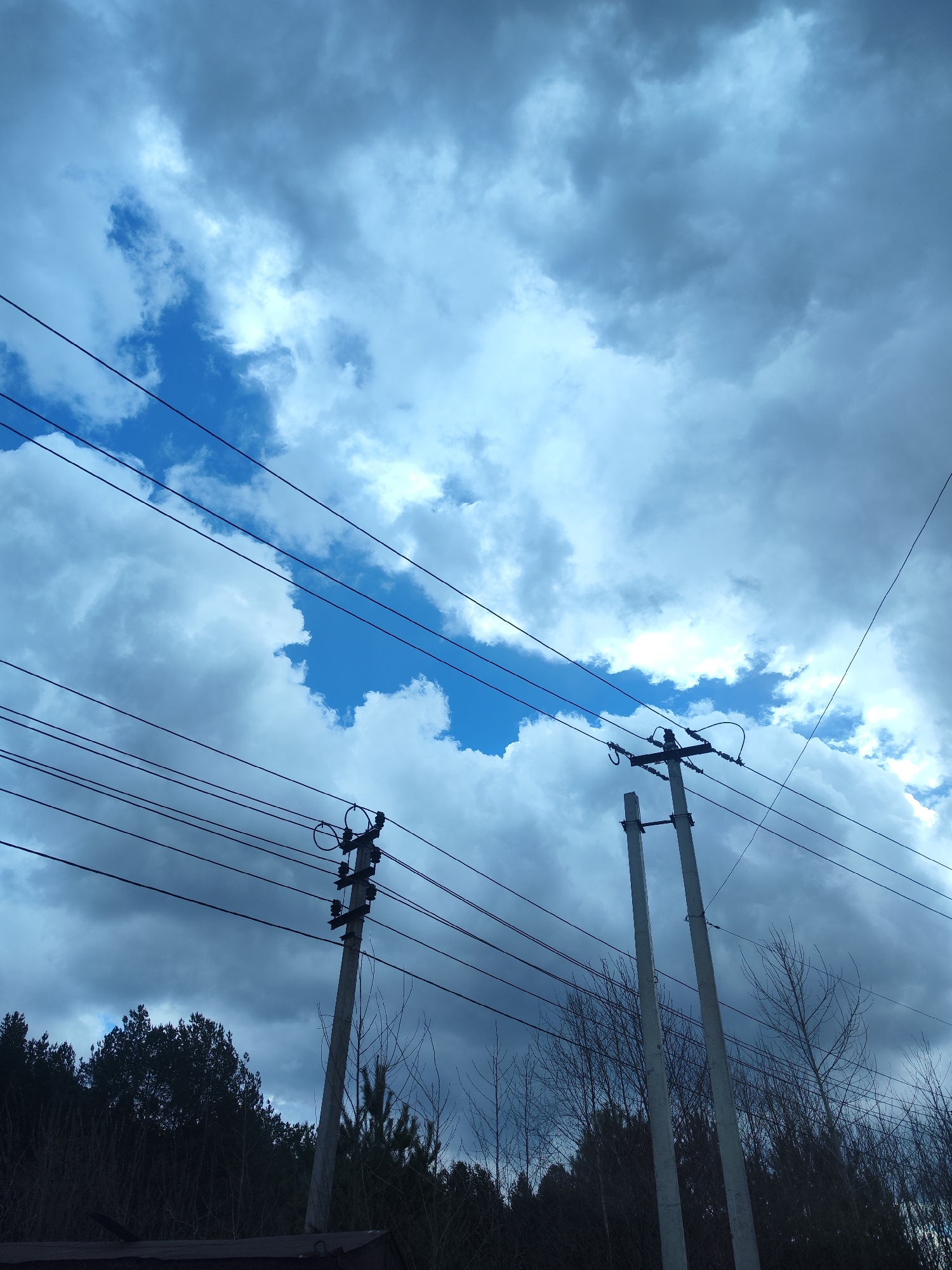The image displays a dramatic sky dominated by a dynamic interplay of clouds. Large, dense formations of grey and white clouds are interspersed with vivid patches of bright blue sky, suggesting a partially overcast day with moments of clear weather.
Multiple dark power lines crisscross the frame, extending across the sky from left to right. In the lower half of the image, two concrete utility poles stand prominently. The pole on the left is partially visible and supports several power lines with insulators. The pole on the right is a taller, more complete structure, appearing to be a double-column concrete support with a crossarm, intricate wiring, and insulators at its apex.
Beneath the power lines and poles, the dark silhouettes of trees form a natural boundary. On the far left, a dense mass of coniferous trees is visible. Towards the right, a scattering of bare deciduous trees, possibly indicative of late winter or early spring, stands against the sky. A small, dark, unidentifiable structure, possibly a part of a roof or fence, can be glimpsed at the very bottom left corner.
The scene captures a daytime moment with variable lighting, shifting between the deep blue of the sky and the subdued tones of the heavy clouds. There is no specific activity taking place, nor is any text visible within the frame. The presence of both natural elements and human infrastructure suggests a setting on the outskirts of an urban area or a semi-rural landscape.