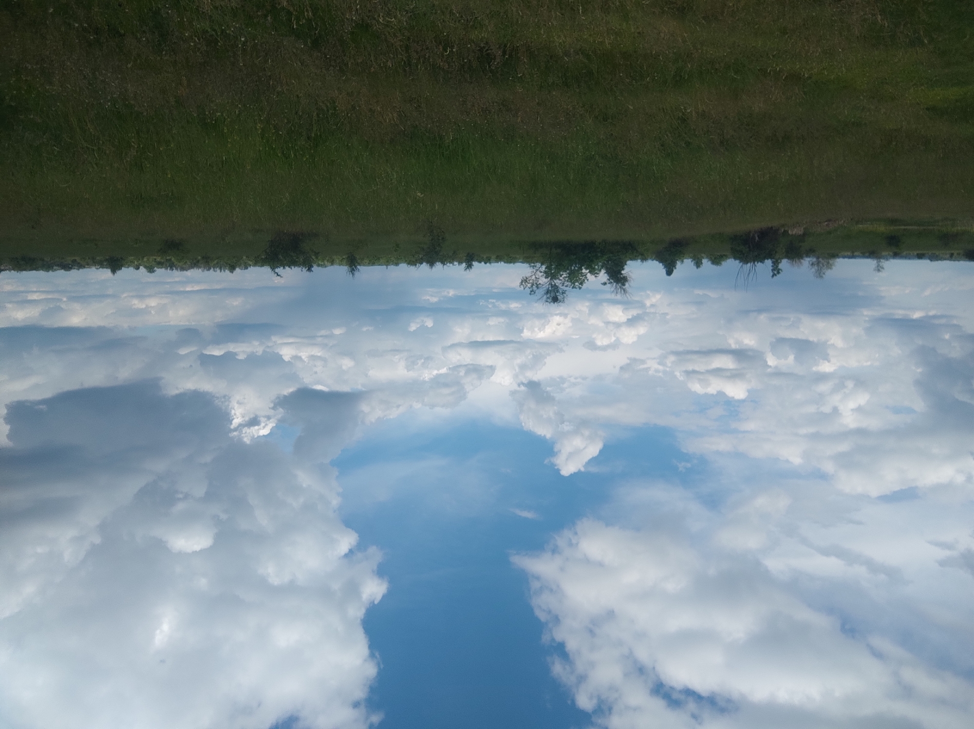 The image depicts a landscape scene with the sky taking up a significant portion. Fluffy white clouds are scattered across a blue sky, with a clear blue patch in the center. A horizon line of green grass and trees is visible at the top of the frame. The location is Unknown, Unknown. The image appears to be upside down.