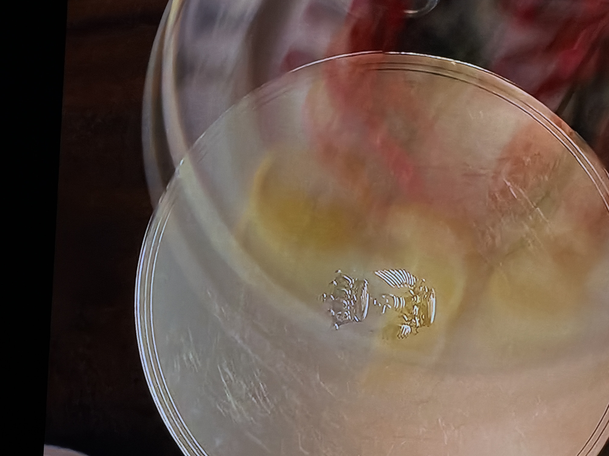 The image displays a close-up, top-down view of a circular, translucent dish, possibly made of glass or ceramic, with a predominant golden-amber tint. The surface of the dish shows soft, blurred reflections of red and pink, likely from its surroundings.
Near the rim, the dish is adorned with delicate, concentric decorative lines. A prominent, ornate metallic emblem is situated in the center of the dish, appearing golden in color. This emblem features two main components: a detailed crown or regal headwear on the left, and a stylized winged creature, resembling an eagle or a mythical bird with distinct feather patterns, on the right. The emblem is rendered with intricate details.
The background is softly blurred, revealing dark, indistinct shapes and diffused red and white tones, which could be reflections or other objects in the room. The scene is set indoors, likely on a flat surface such as a table. No people are visible, and there is no activity taking place. The image does not contain any visible text or specific visual cues to confirm the location as Sofiivska Borshchahivka, Ukraine.