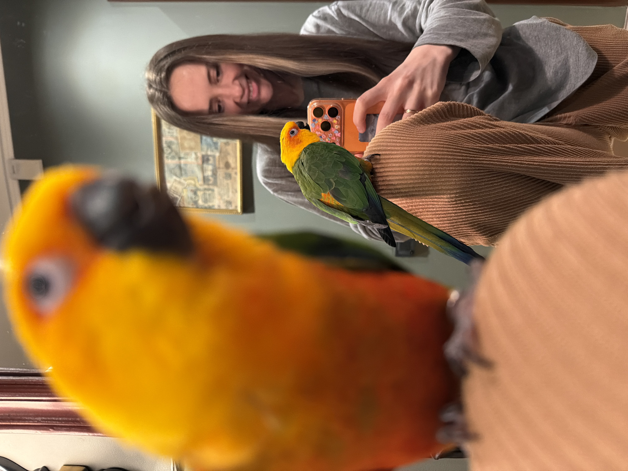 A woman is photographing herself and her parrot in a mirror. The woman is smiling and holding her phone, which has a clear case with colorful decorations. The parrot is green and yellow. Another parrot, out of focus, is in the foreground. The woman is wearing a gray shirt and brown pants. The setting appears to be indoors, possibly a home. A painting is visible in the background.