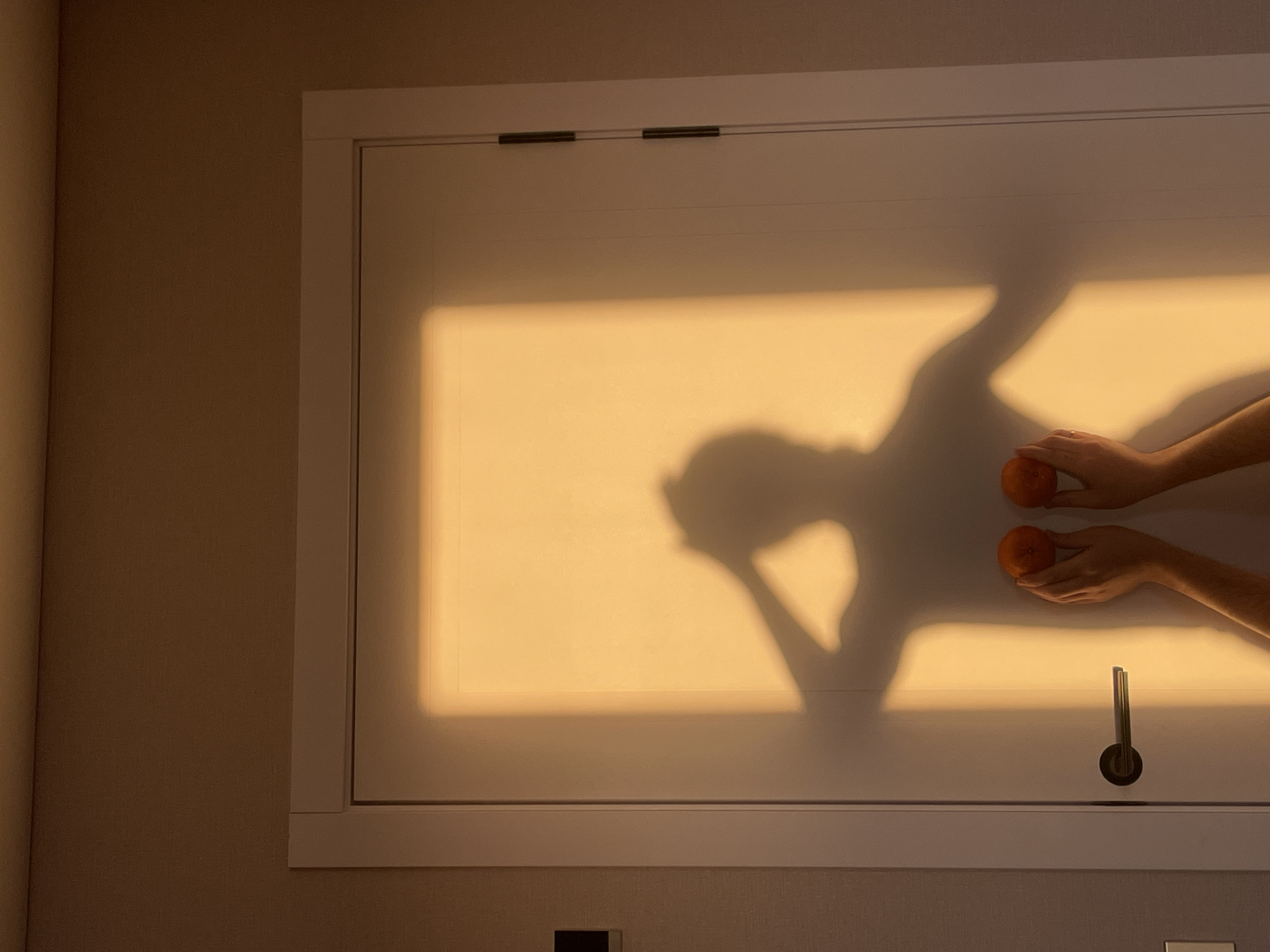 The image presents a warm-toned, still life scene within a room. A rectangular, white door or panel, possibly a cabinet door, is centrally positioned, surrounded by a light brown wall. The top left of the image contains a section of this wall, while the bottom of the door appears to be part of a larger cabinet unit.
The dominant feature is the shadow of a person holding two tangerines or similarly sized orange fruits. The shadow suggests that the person is holding one fruit in each hand, with their arms stretched out towards the right side of the image. The shape of the shadow also suggests that the person is possibly adjusting their hair or head with one hand.
The lighting in the scene is strong and direct, casting a prominent, sharply defined shadow on the door, indicative of a light source coming from the upper right. The image does not provide definitive information to determine the location is Подшивалово, Russia.