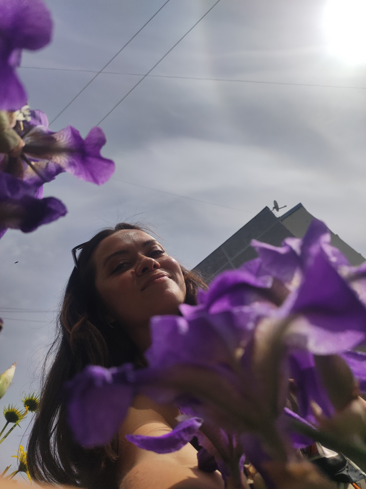 A low-angle shot captures a woman amid purple irises, presumably in Chaikovsky, Russia. The woman, with dark hair and wearing sunglasses atop her head, looks down with a faint smile. The foreground is dominated by the blurred irises, partially obscuring her. Behind the woman, the sky is visible with some clouds and the sun is shining, casting a bright light on the scene. Power lines stretch across the sky. A tall, modern building is also visible, topped with what appears to be a satellite dish. Yellow flowers are visible behind the woman. A small insect is also present in the frame.