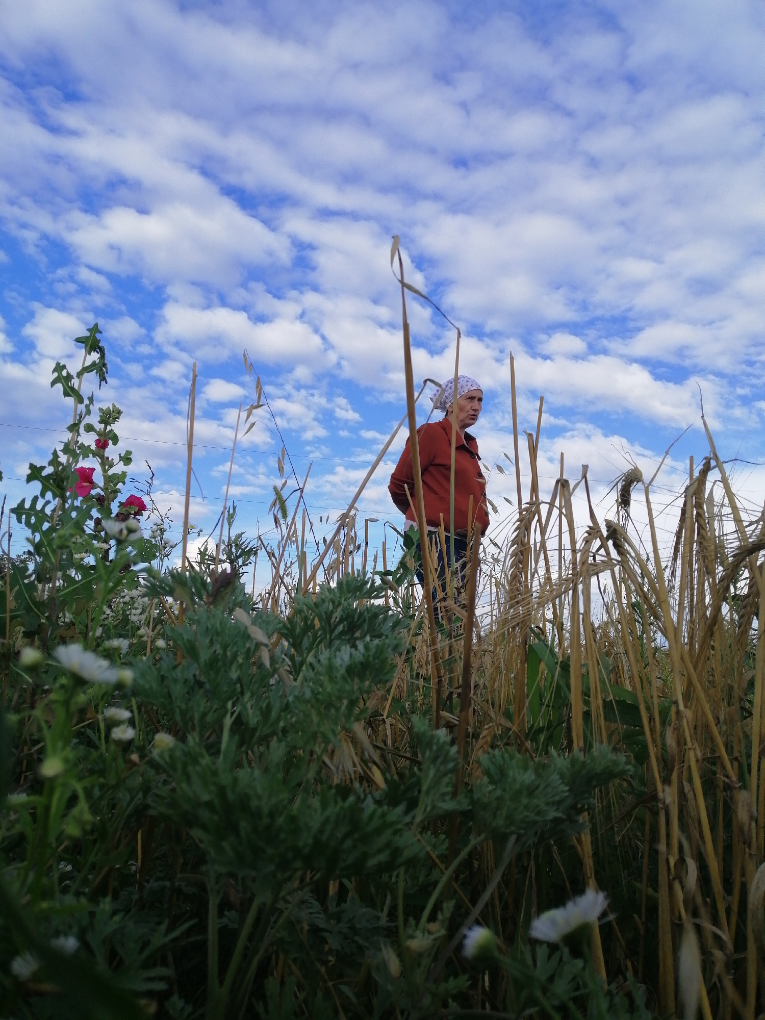 In Mali Kuskivtsi, Ukraine, a woman with a light-colored bandana on her head and wearing a rust-colored hooded jacket and dark pants stands in a field of tall, dry grass and vegetation. The sky above is blue with scattered white clouds. In the foreground, there are green plants and some pink and white flowers. The woman is positioned to the right of center in the frame, looking to her left. The scene appears to be outdoors during the daytime.