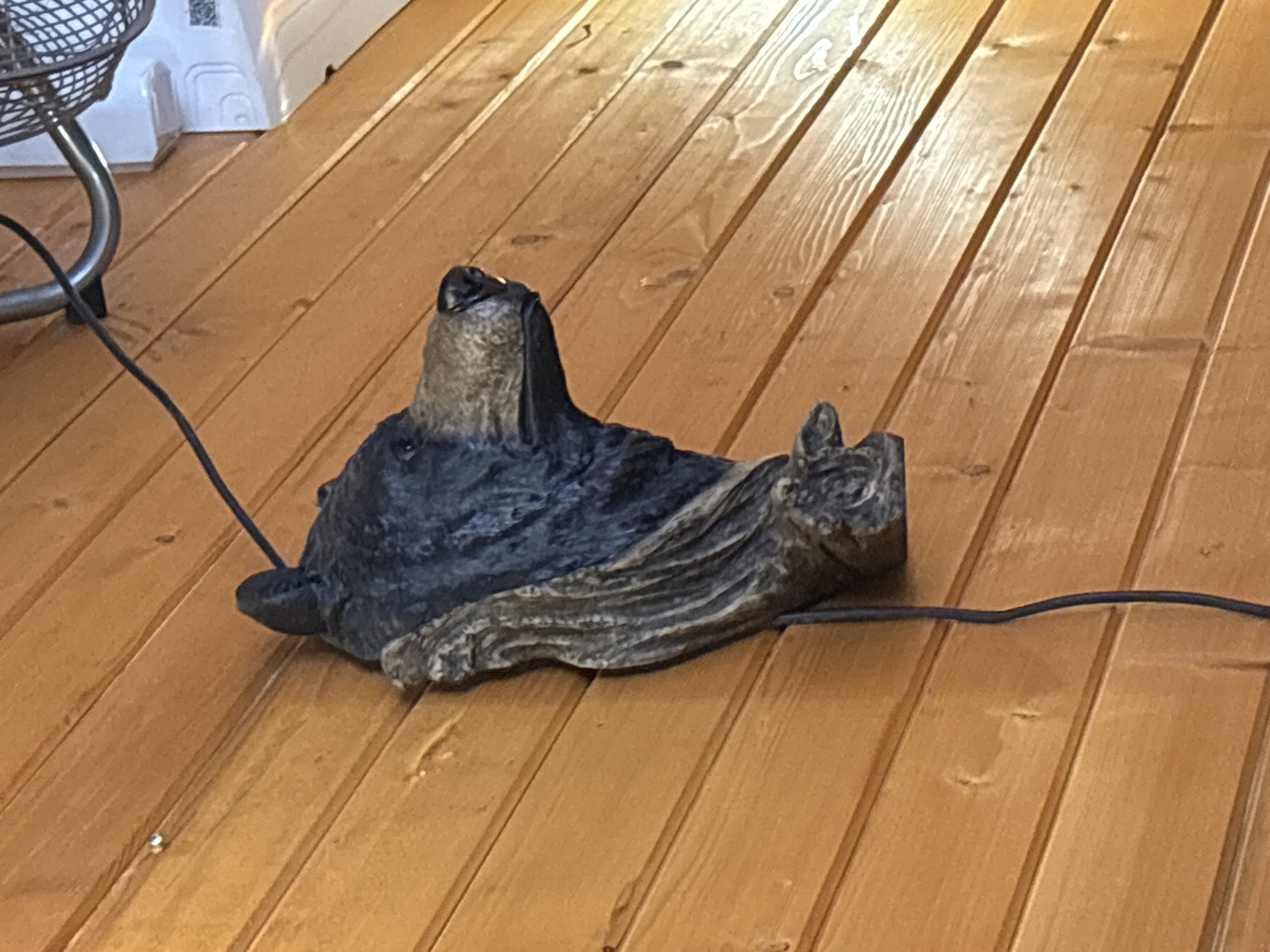 A sculpture of a bear lies on a wooden floor. The sculpture is primarily black with tan accents. The wood floor appears to be composed of planks of uniform color and width. A black power cord snakes across the floor near the sculpture. Parts of an electric fan and a white object are visible to the left. There is no indication of location in Ribaritsa, Bulgaria.