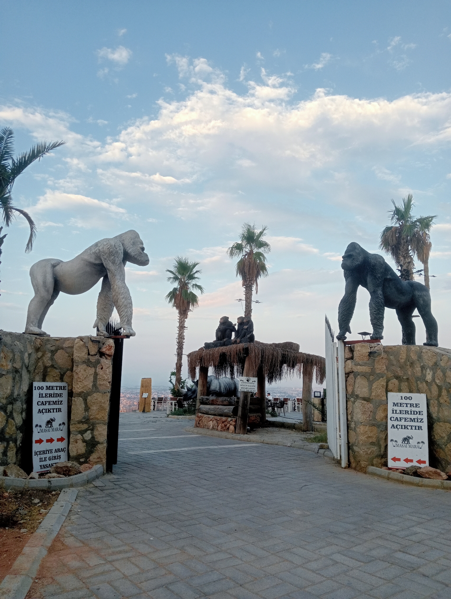 The image depicts an outdoor scene, possibly an entrance to a park or attraction, with two large gorilla statues as prominent features. The statue on the left is light gray and in a stooping pose, while the statue on the right is dark gray and standing upright. Both statues are placed on stone pedestals.
In the background, there are several palm trees and a thatched-roof structure that appears to be a cafe or seating area. Some smaller statues of what look like monkeys are visible on top of the thatched roof. There are also tables and chairs set up in this area, suggesting a place for people to relax or eat. Beyond this, a cityscape is visible in the distance, indicating an urban or semi-urban setting.
Two signs are visible, one on each side of the entrance. The sign on the left is partially obscured but shows text and arrows. The sign on the right is clearer, with text that translates to "Our cafe is open 100 meters ahead" and depicts an elephant and arrows.
The ground is paved with interlocking gray bricks. The sky above is a light blue with scattered white clouds, suggesting it is daytime, possibly late afternoon or early evening due to the lighting. There are no people clearly visible in the foreground or mid-ground. The overall impression is that of a roadside attraction or an entrance to a leisure facility.