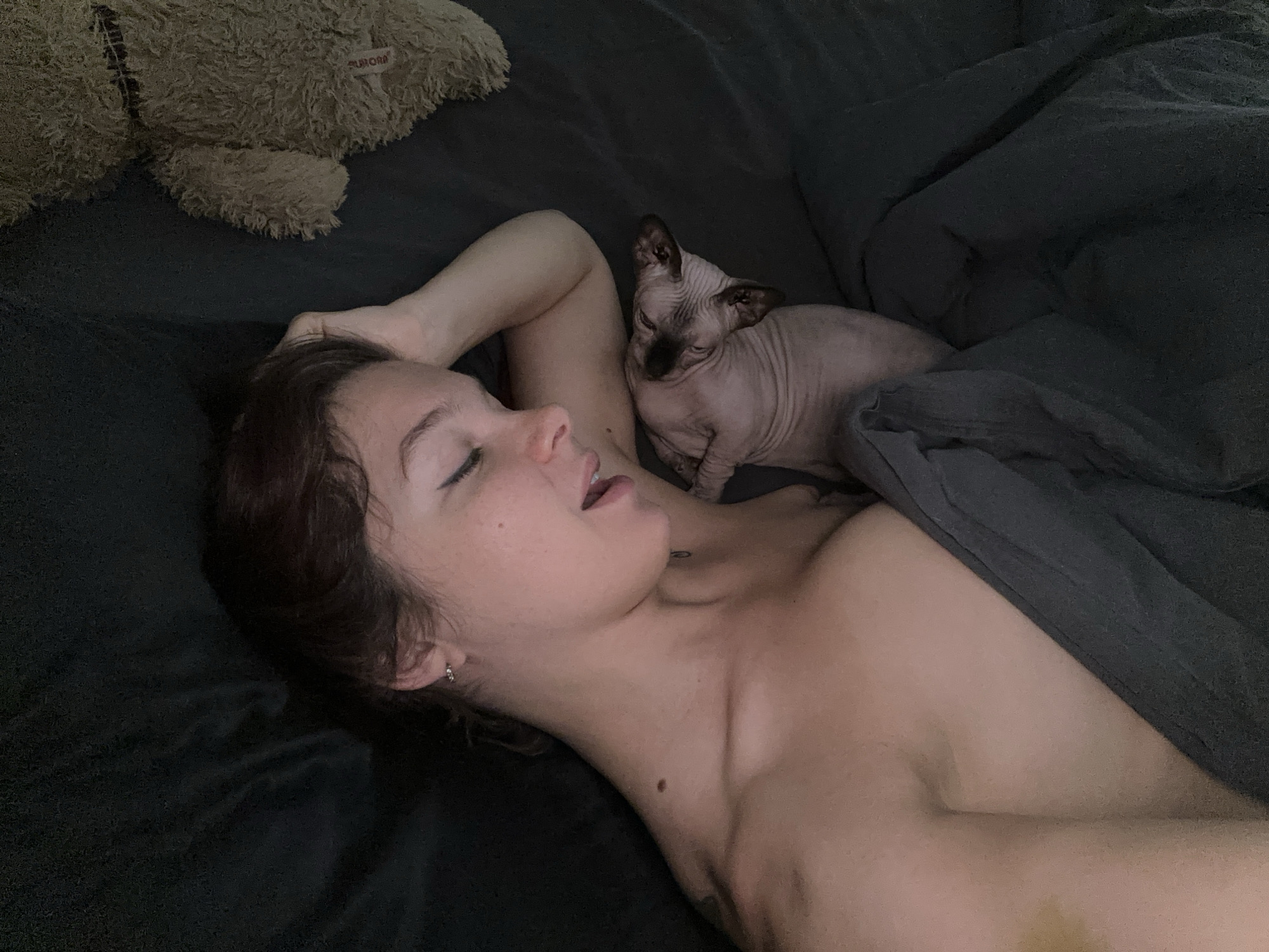 A high-angle shot shows a woman lying on her side, eyes closed, with a hairless cat curled up on her chest and a stuffed teddy bear near her head. The woman has fair skin and dark hair and is partially covered by a dark gray blanket. The cat has pink skin with dark markings on its face and ears. The stuffed teddy bear is brown. The scene appears to be indoors, possibly in a bedroom, and the lighting is dim. There is no information related to the city of Vladimir, Russia.