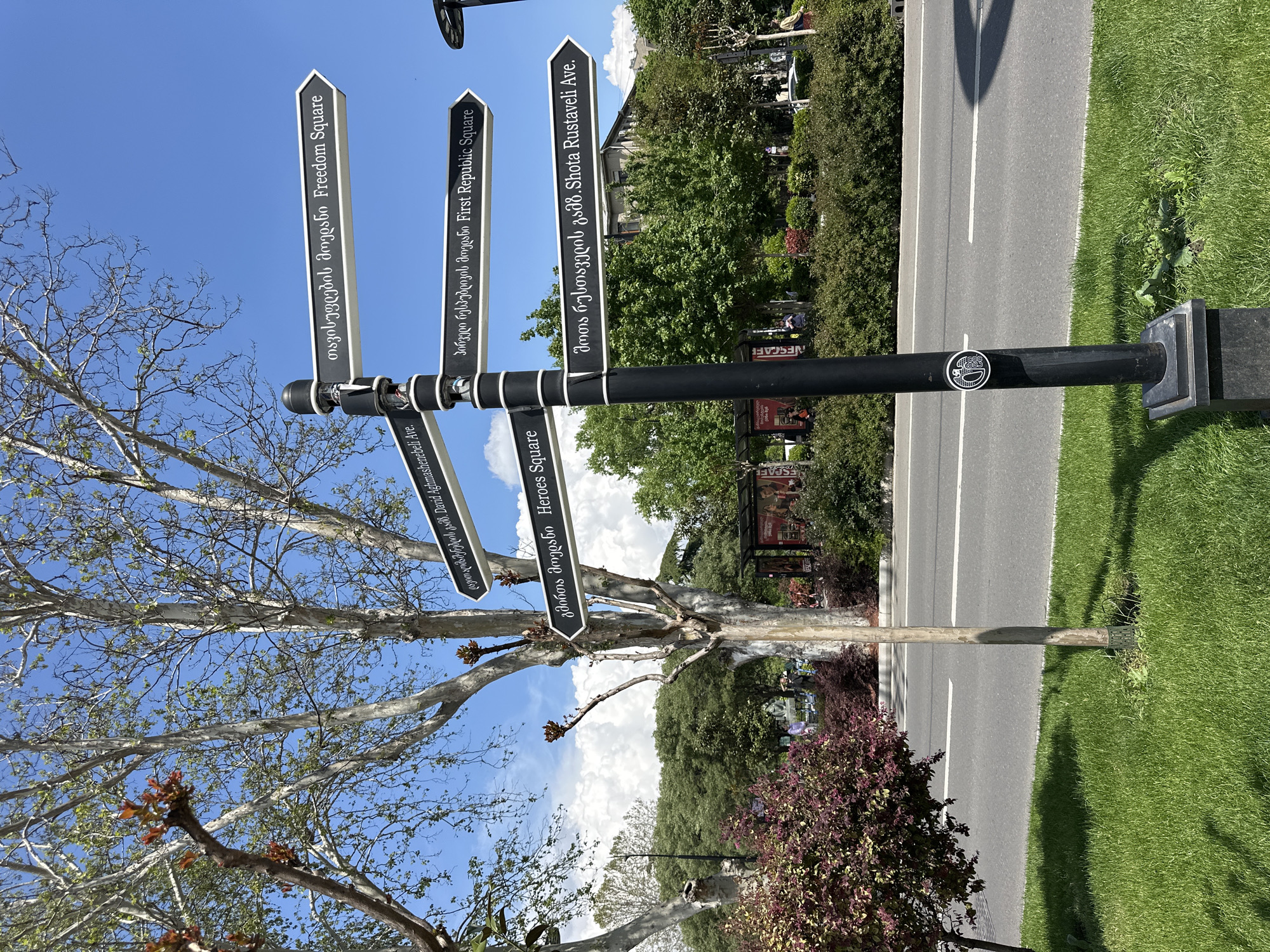 The image captures a directional signpost situated in the city of Tbilisi, Georgia. The signpost features multiple arrows pointing in different directions, each indicating landmarks in both Georgian and English. Specifically, the signpost directs individuals to Freedom Square, First Republic Square, Heroes Square, Shota Rustaveli Avenue, and David Aghmashenebeli Avenue. The signpost is made of metal and is standing adjacent to a road with a green grassy area beside it. A bare tree stands near the signpost. There are other trees and some bushes visible in the background. There is a sticker with what looks like a duck face on the post.