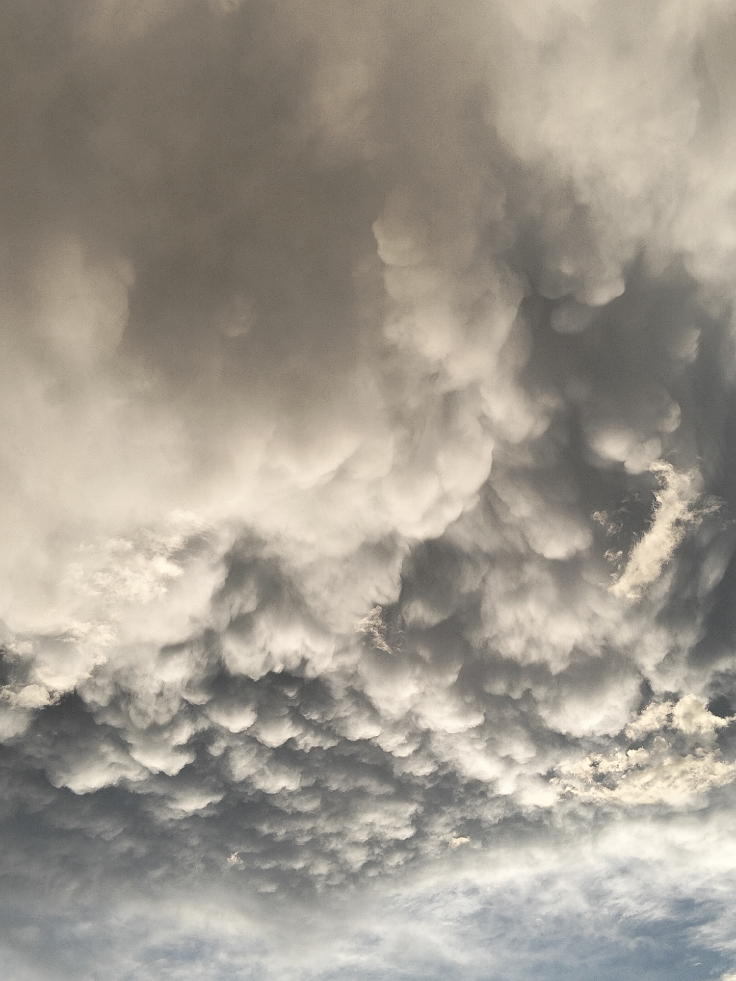A dynamic sky filled with mammatus clouds dominates the frame, obscuring any view of the city of Semey, Kazakhstan below. The clouds are a mix of dark grays and bright whites, with the sunlight catching the undersides of the pouch-like formations. The texture of the clouds is varied, with some appearing smooth and billowing, while others are more textured and granular. The overall impression is one of an approaching storm or dramatic weather event. No people, subjects, or objects are visible in the image, as the focus is entirely on the celestial display. The environment is the sky itself.