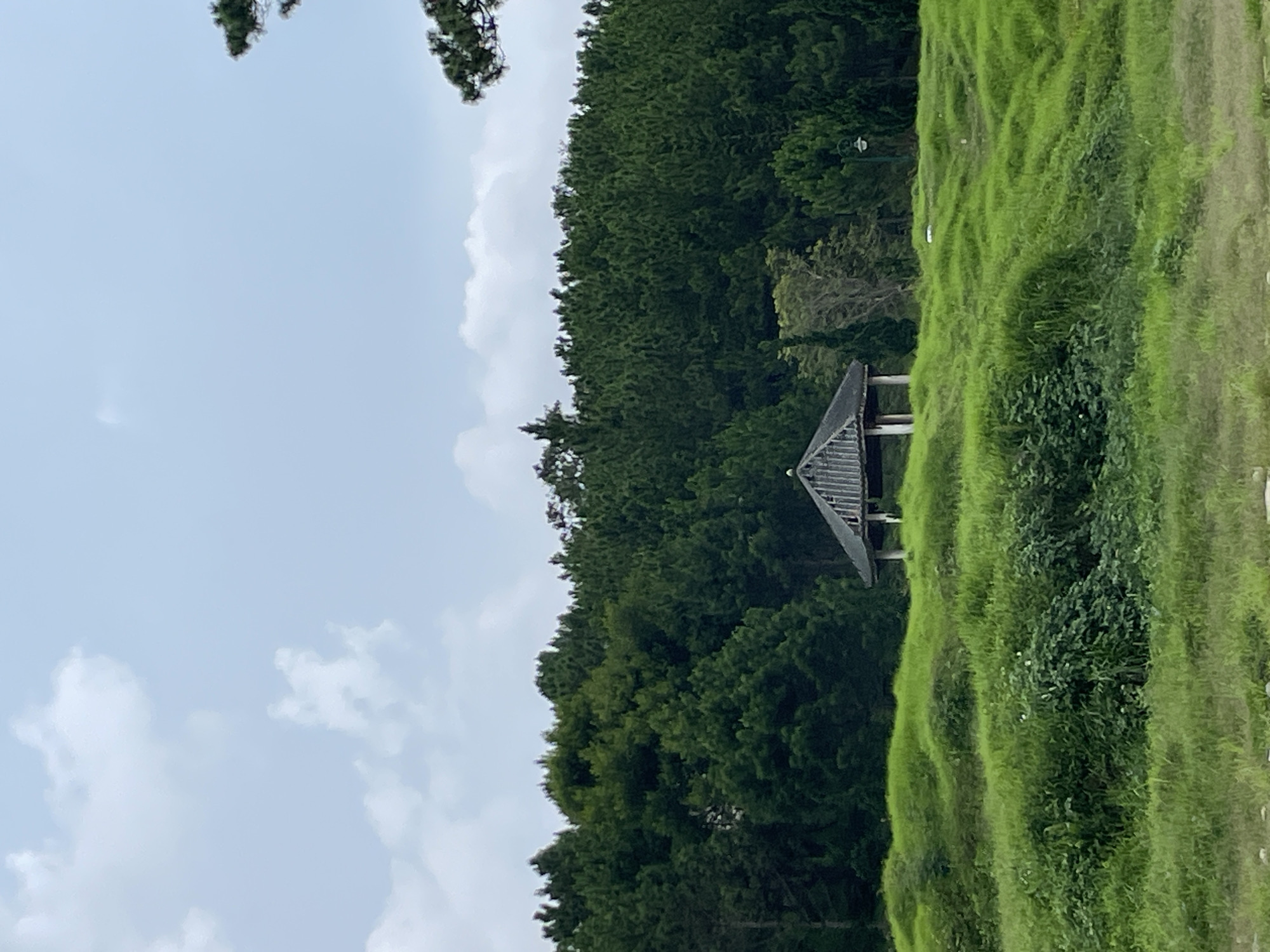 The image shows a view of a grassy hill with a small wooden gazebo in the distance. The gazebo appears to be old and weathered. Behind the hill is a dense forest of pine trees, and above the trees is a cloudy sky. The scene is likely a park or a natural area, possibly in the city of Da Lat, Vietnam, known for its pine forests and hilly terrain. There are no people visible in the image. The overall mood is serene and natural.