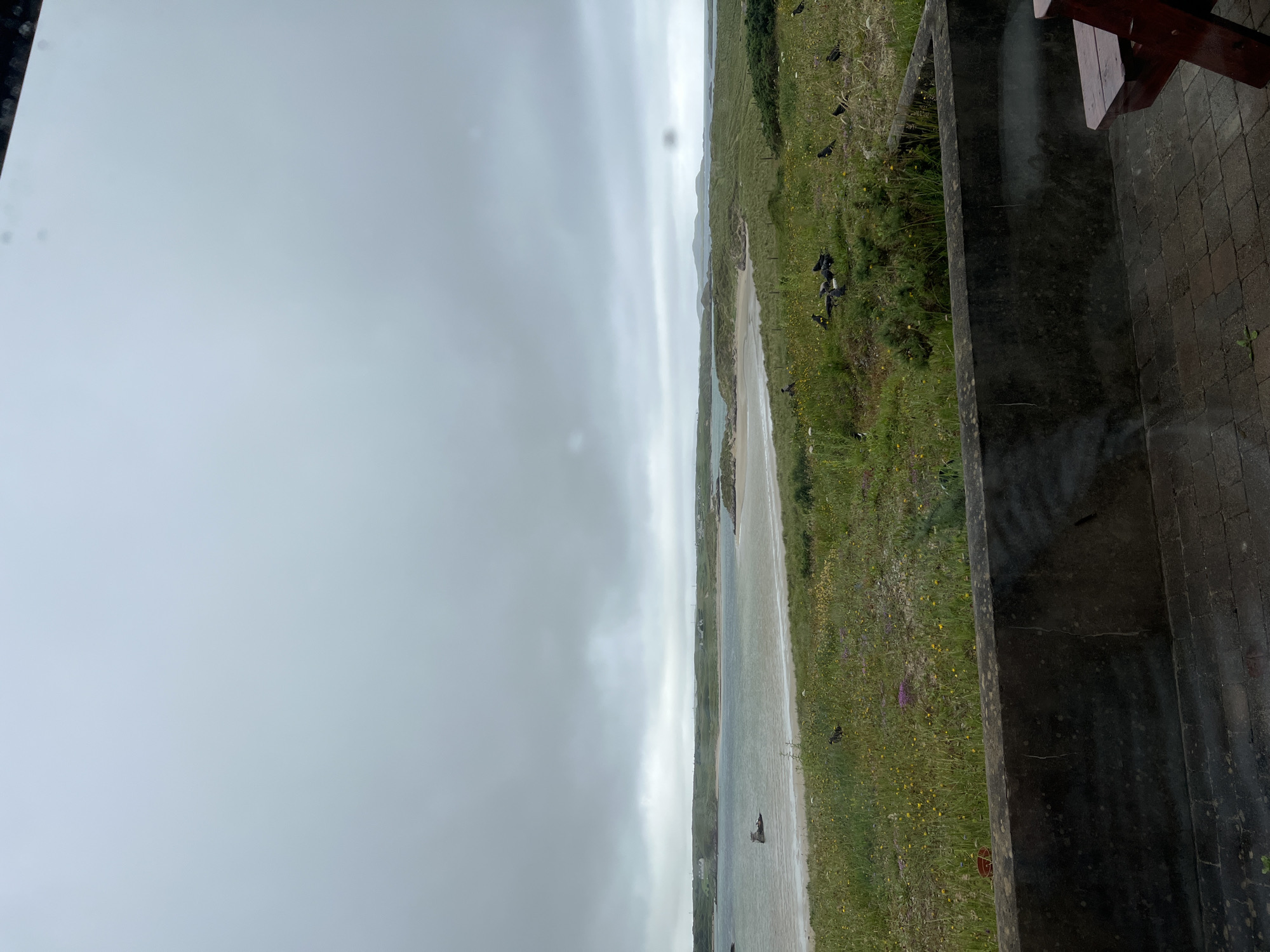 The image depicts a scenic view of a coastline in Bunbeg, Ireland, on an overcast day. In the foreground, a dark, weathered stone wall runs horizontally across the frame, with a red wooden bench partially visible to the right. Beyond the wall lies a grassy slope dotted with small yellow and purple wildflowers. A flock of dark birds is scattered across the grass.
Further into the scene, a sandy beach meets the calm, grey water of a bay. In the distance, rolling green hills covered in vegetation form the backdrop, with a few scattered houses visible on the slopes. The sky is predominantly grey and cloudy, with diffused light indicating a muted atmosphere. A small boat or floating object can be seen in the water on the left side of the image. The overall impression is one of a serene, natural landscape under a typical Irish sky.
