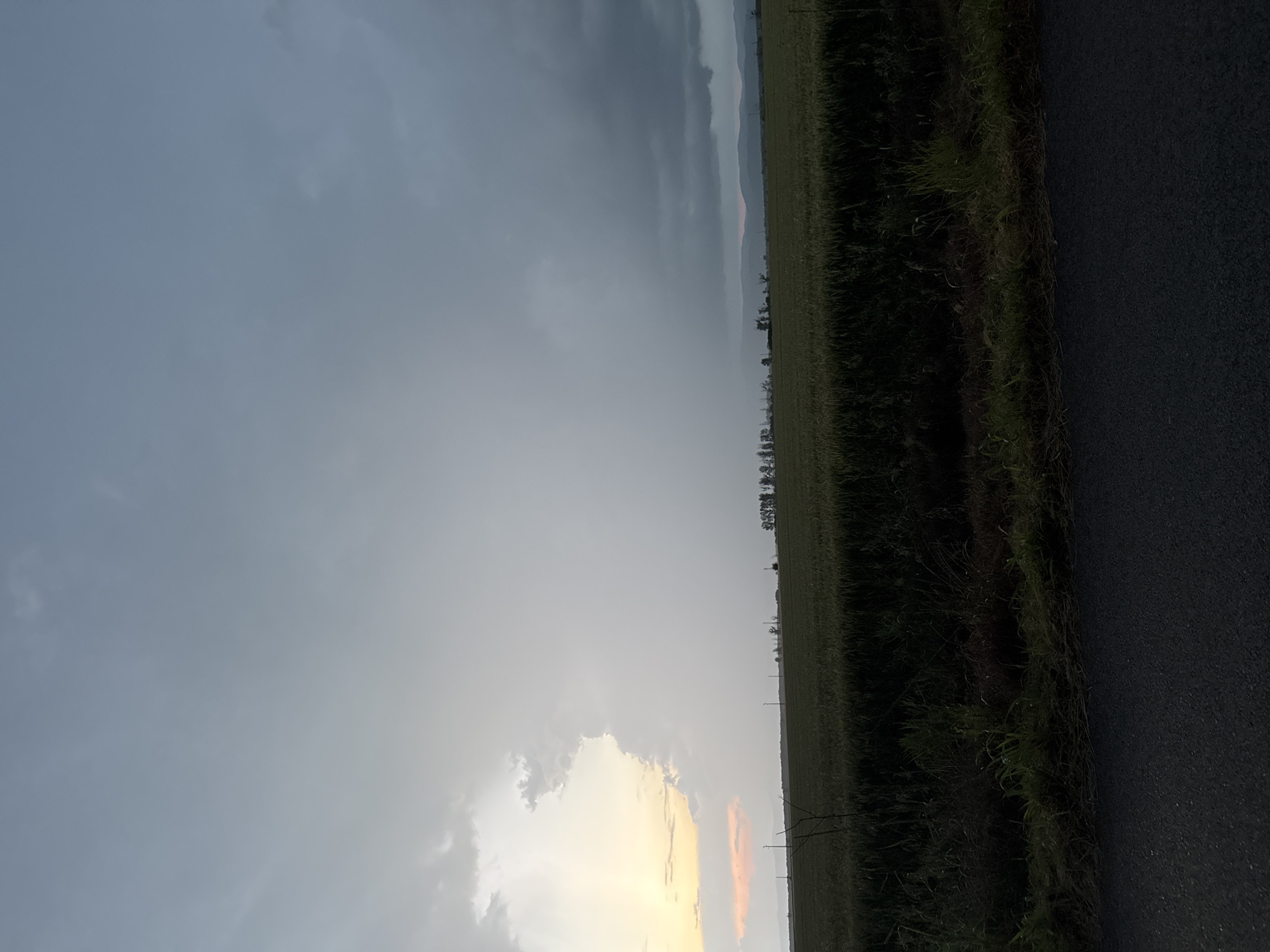 The image depicts a vast, serene rural landscape in Sarnevo, Bulgaria, under an expansive, overcast sky. The scene is devoid of human activity, conveying a sense of quiet solitude.
The sky dominates a large portion of the frame, filled with dense, varying shades of gray clouds, suggesting an overcast day or possibly an approaching storm. Towards the left horizon, a brighter patch of sky is visible, with hints of soft yellow and orange light breaking through the clouds, indicating either late afternoon or early evening as the sun attempts to penetrate or is setting.
In the midground, a broad field of green crops, likely agricultural land, stretches horizontally across the scene, meeting a distant, hazy mountain range or hills on the horizon. The distant landforms are muted in color, partially obscured by atmospheric conditions. Sparse trees or utility poles dot the far edge of the field.
The foreground on the right features a dark asphalt road, running parallel to the horizon. It is separated from the cultivated field by a strip of dark green, wild grass and dense foliage, which forms a natural barrier along the roadside.
No people, animals, vehicles, or any discernible text are visible within the image. The overall impression is one of natural beauty and vastness under a dramatic sky.