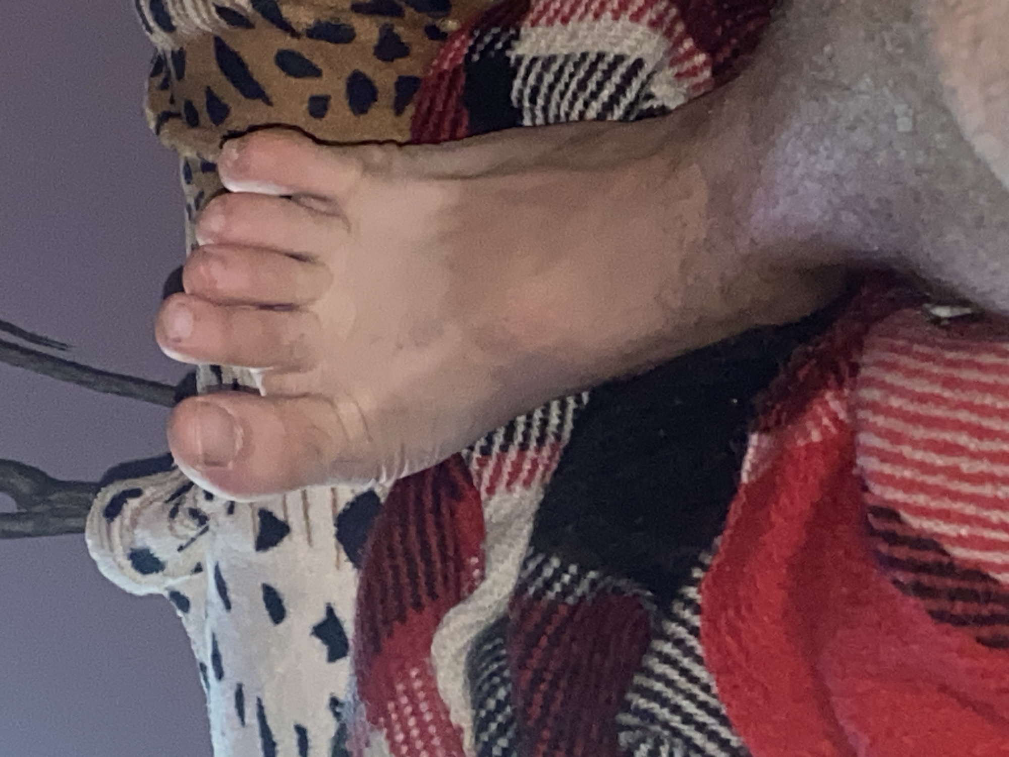 A person's foot rests on a blanket with a red, white, and black plaid pattern. Another blanket with a dalmatian-like pattern and a leopard print blanket are also visible. The setting appears to be indoors. The location in Zastavna, Ukraine is not discernible from the image.