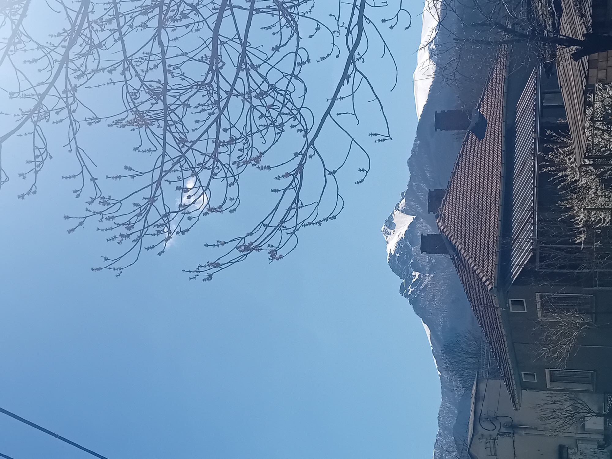The image shows a view of a building with a red tile roof and a backdrop of snow-capped mountains against a clear blue sky. Bare tree branches with buds are visible in the foreground. Electrical lines run across the bottom left corner. The location appears to be in a mountainous area, though the specific city is not identifiable. The building is multi-storied and of simple construction.