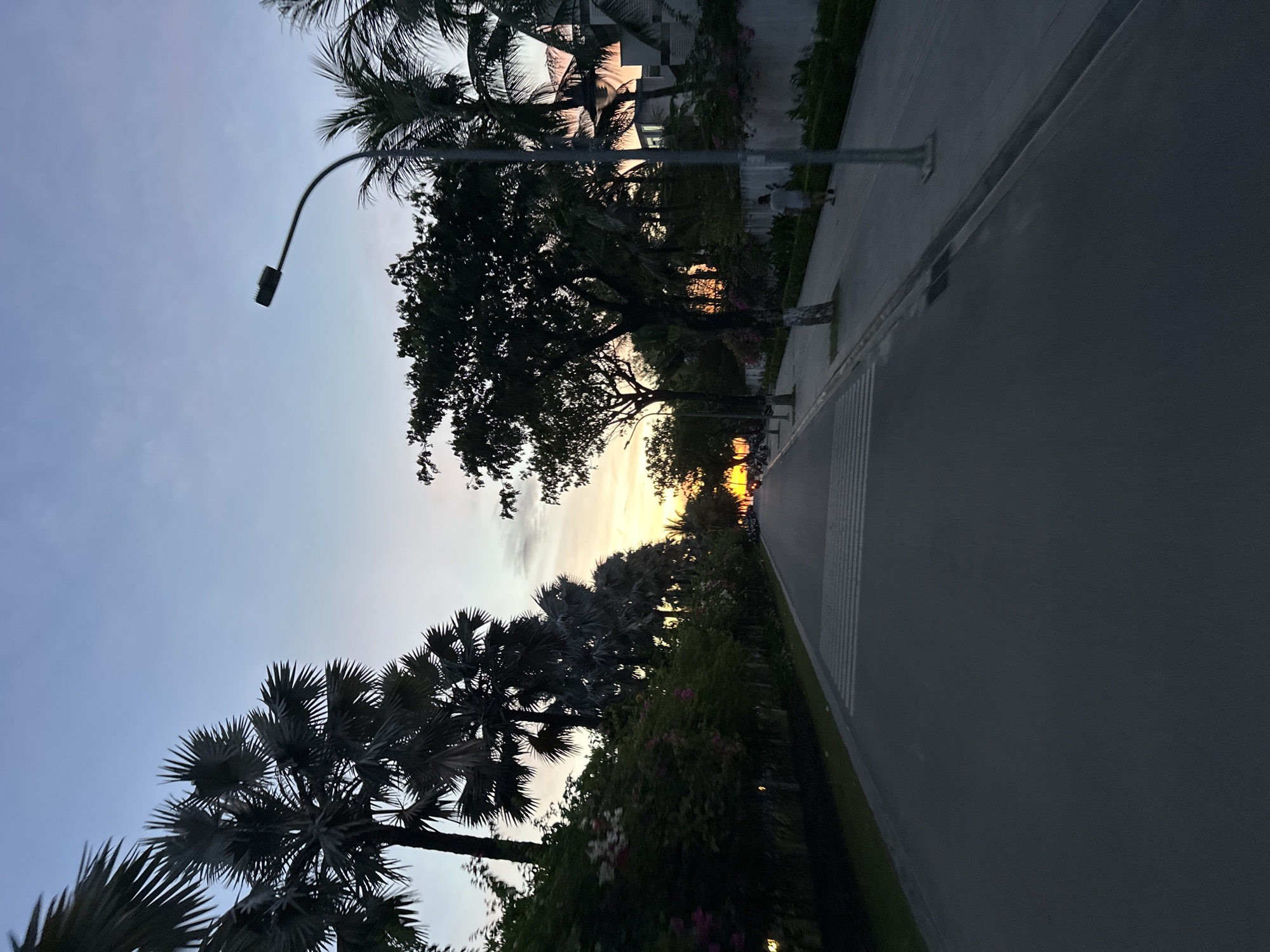 A low-angle, wide shot captures a tree-lined street in Da Nang, Vietnam, during sunset. The road, paved with asphalt, stretches into the distance, marked by a pedestrian crosswalk and flanked by sidewalks. On the left, palm trees and lush greenery with pink and white flowers line the street, while on the right, a sidewalk hosts a lone person walking, accompanied by more palm trees and modern architecture. A street lamp arcs over the right sidewalk. The sky displays a gradient of sunset colors, from soft blues at the top to warm oranges and yellows near the horizon. The overall scene evokes a peaceful, tropical evening in a well-maintained urban environment.