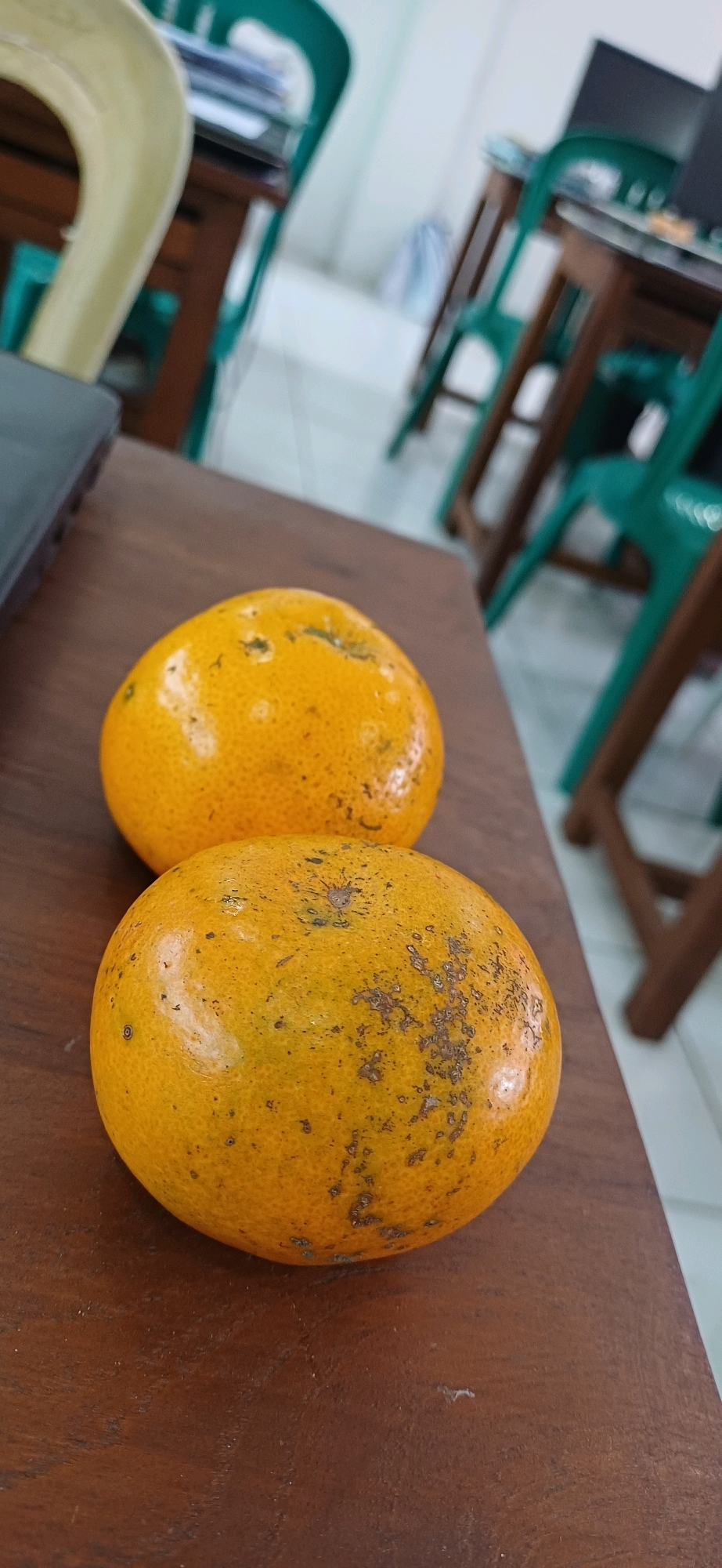 Two oranges sit on a wooden table. The oranges are round and orange in color with visible texture on their peels. The table has a dark brown, wood grain surface. In the background, out of focus, are several green chairs and desks, suggesting an indoor setting, possibly a classroom or office, in Pucakwangi, Indonesia.