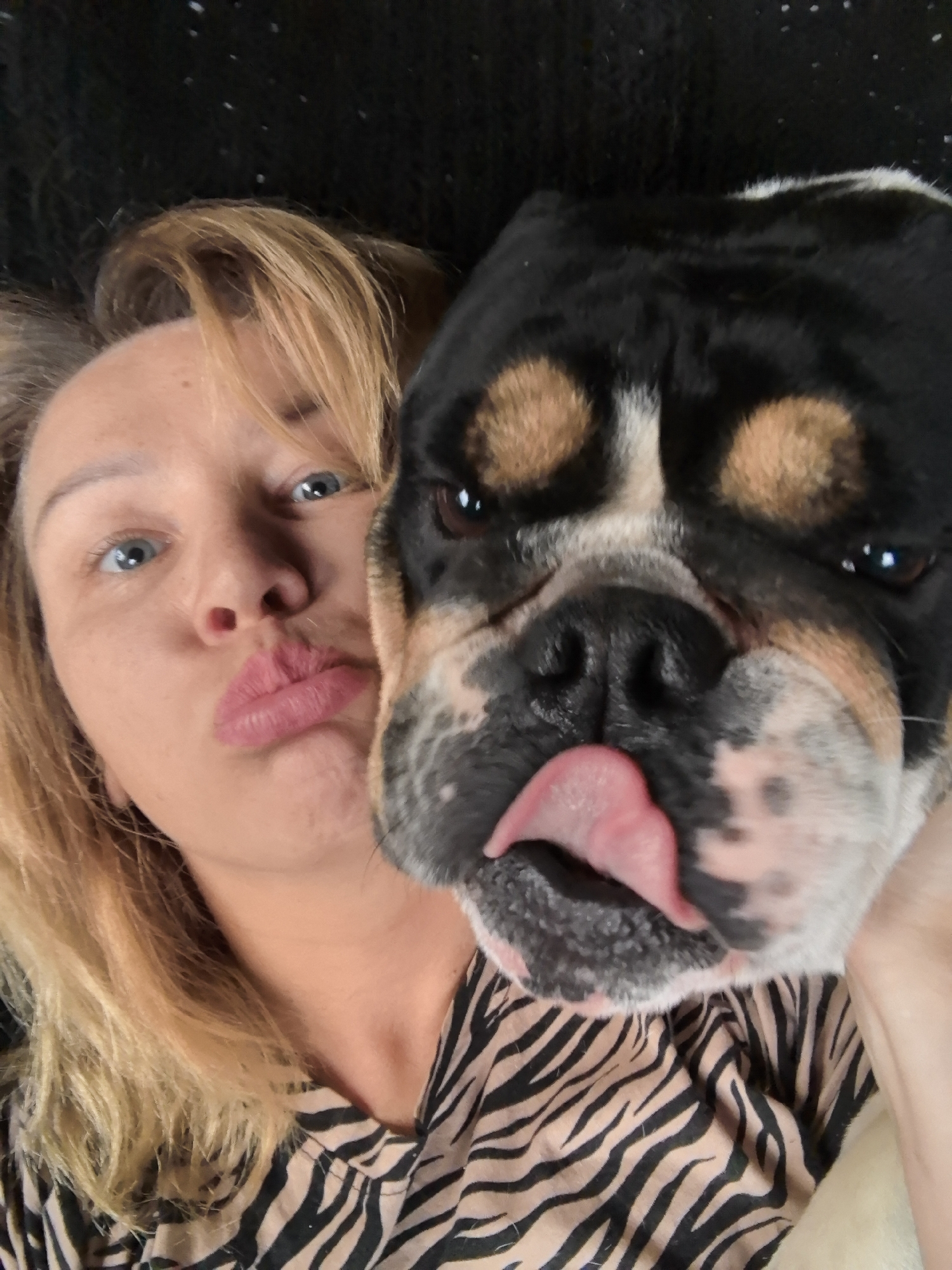 This close-up selfie, captured in Noviy, Russia, features a woman and a tricolored bulldog-type dog, conveying a warm and playful interaction. The woman, positioned on the left, has blonde hair, light skin, and blue eyes. She looks directly at the camera with a humorous, puckered-lip expression, as if blowing a kiss. She is wearing a top with a distinct beige and black zebra or tiger stripe pattern.
To her right, the dog's head fills a large portion of the frame. It displays a mix of black, white, and tan fur, characteristic of certain bulldog breeds, and has dark, soulful eyes. Its wet, black nose is prominent, and its pink tongue is playfully sticking out to the left side, adding to the lighthearted atmosphere. The background is a soft, dark, and slightly textured fabric, suggesting an indoor, comfortable setting such as a couch or bed. The image captures a moment of affectionate companionship between the woman and her pet. There is no visible text in the media file.