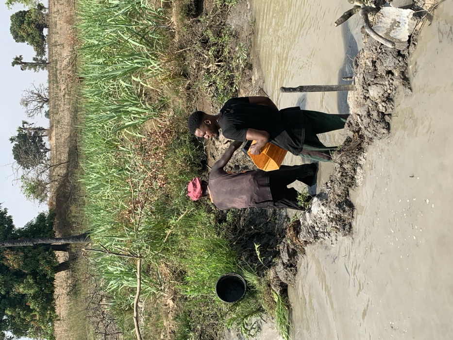 Two people are drawing water from a river or muddy pond. The person on the left, wearing a reddish head covering and dark clothing, assists the other person, who is filling a yellow bucket from the water. A black bucket sits on the bank near them. Lush green vegetation grows on the bank and in the background, alongside a drier, grassy field with scattered trees. Mud and exposed roots line the water's edge. The water is murky, suggesting a shallow or stagnant body.