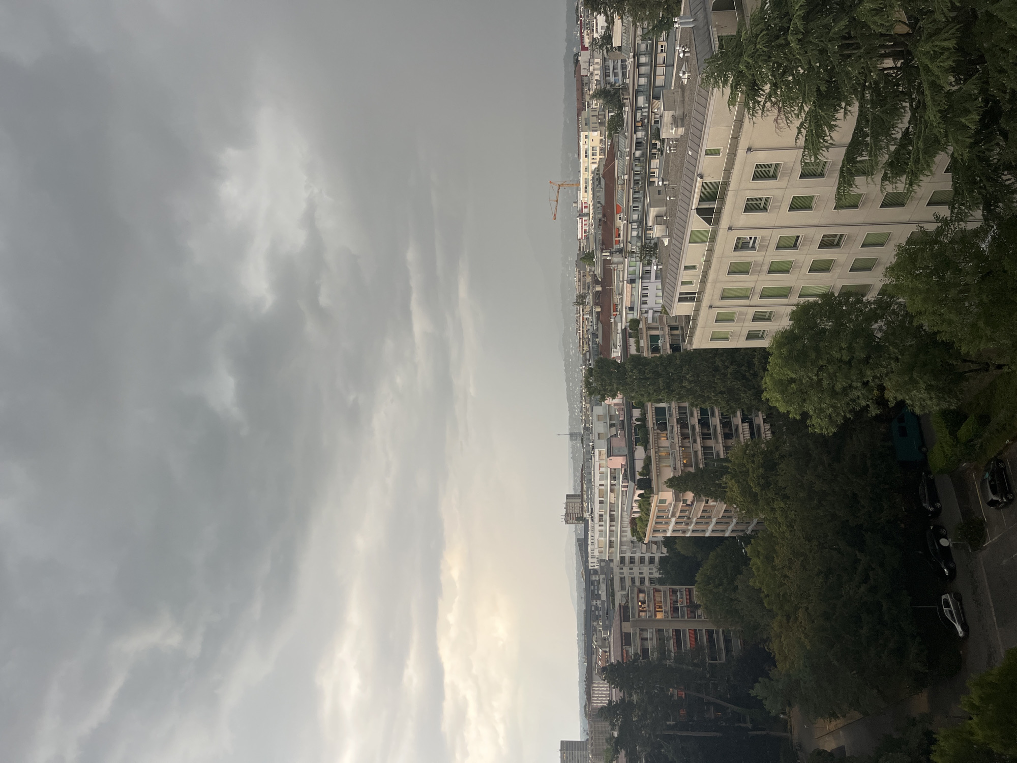 The image shows a panoramic view of the city of Geneva, Switzerland, under a cloudy sky. In the foreground, there are several trees and buildings, some of which appear to be residential. In the middle ground, more buildings of various heights and architectural styles are visible, with a construction crane in the distance. The background shows a hazy cityscape stretching towards the horizon, with mountains faintly visible. The overall mood of the image is subdued, likely due to the overcast weather.