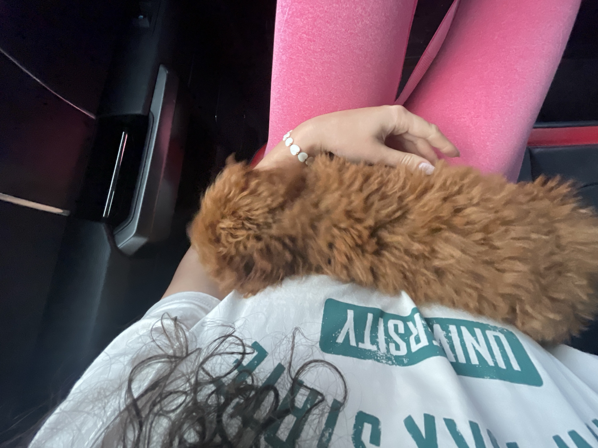 The image captures a close-up, high-angle view inside a vehicle, focusing on a person and a small dog. The main subject is a person, likely female, whose head and upper body are partially visible from above and behind. They are wearing a white t-shirt with green, distressed text that clearly spells out "UNIVERSITY" upside down across the back. Their dark, curly hair is visible, resting on the t-shirt. On their right wrist, a white bracelet made of small, heart-shaped beads is visible. The person is also wearing bright pink leggings or pants.
Resting on the person's shoulder or neck area is a small, fluffy, brown dog, possibly a poodle or a similar breed, with thick, curly fur. The person's right hand is gently placed near or on the dog.
The setting appears to be the interior of a car, with dark dashboard or door panel elements visible on the left and a seat belt strap subtly indicated. The lighting suggests it is daytime. The overall mood is relaxed and affectionate, highlighting the bond between the person and the pet. While no specific location cues are visible in the image itself, the context provided states the location is Sofia, Bulgaria.