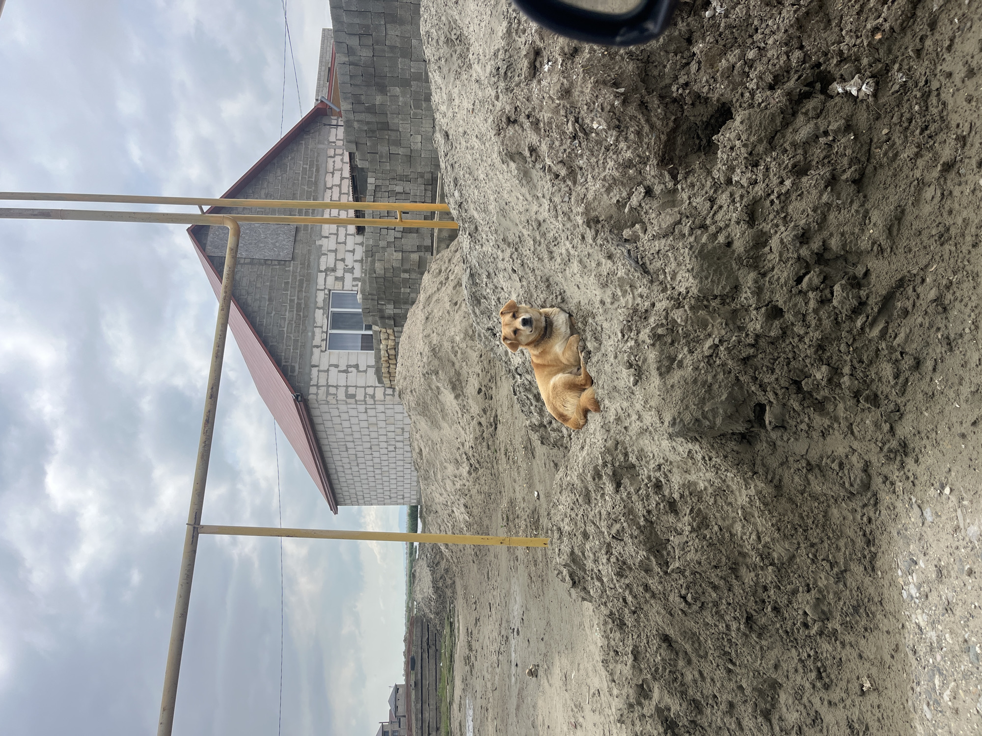 The photograph shows a medium-sized, tan-colored dog resting on a large mound of gray dirt. The dog is sitting upright, facing the camera. Behind the mound, there is an unfinished building constructed from gray cinder blocks, with a red metal roof. A yellow metal structure stands to the left of the building. The ground in the foreground is mostly dirt. In the distance, other buildings are visible. The sky is overcast with gray clouds. The photograph was taken in the city of Kaspiysk, Russia.