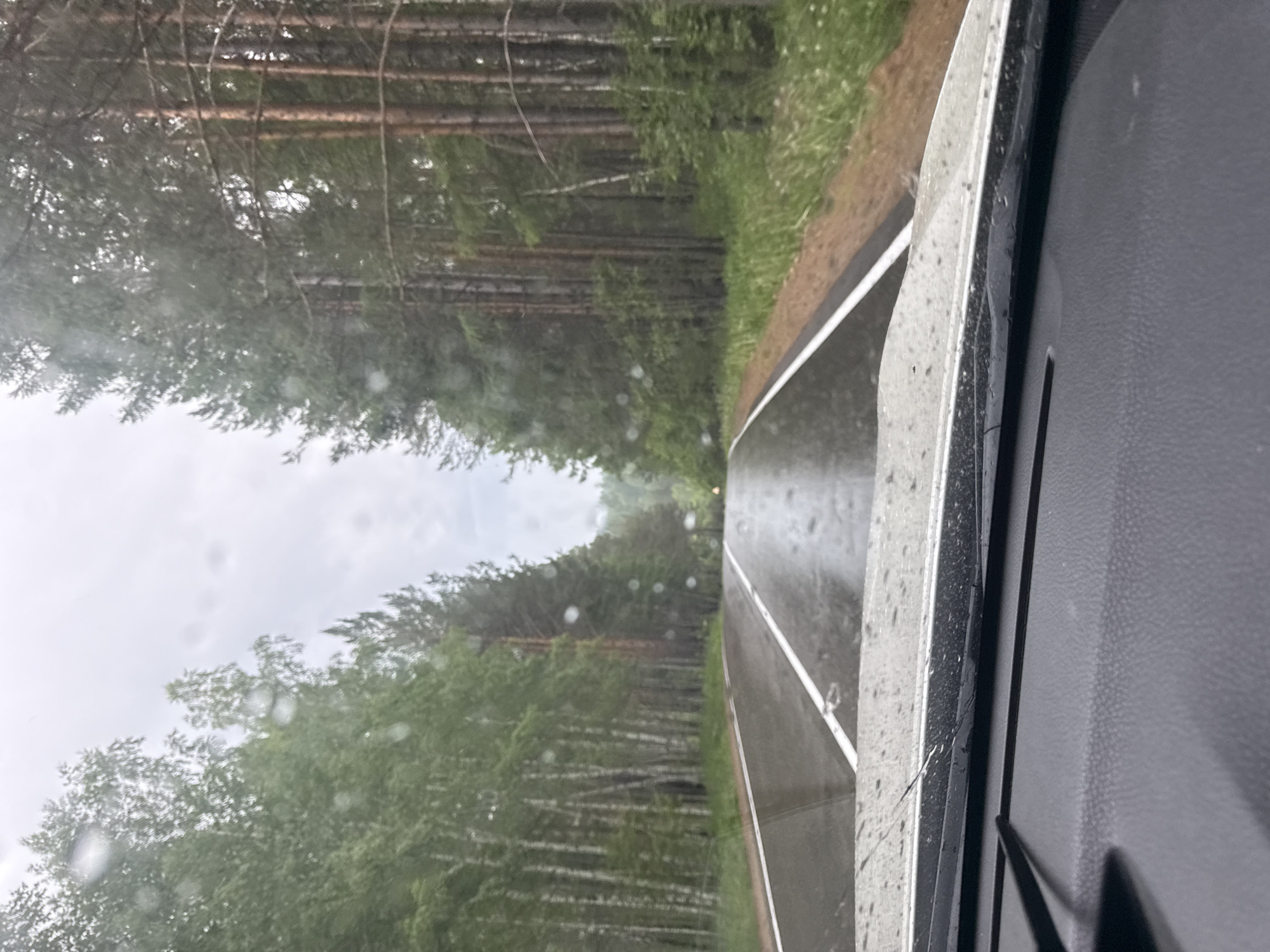 A wet asphalt road stretches through a forest. The road is bordered by white lines and flanked by tall trees, including birches on the left and pines on the right. The sky is overcast, and there are visible raindrops on the windshield from which the photo is taken. The view is from inside a vehicle, with the dashboard visible in the foreground. The scene appears to be on a rural road near Savvateevka, Russia, likely during or after rainfall.
