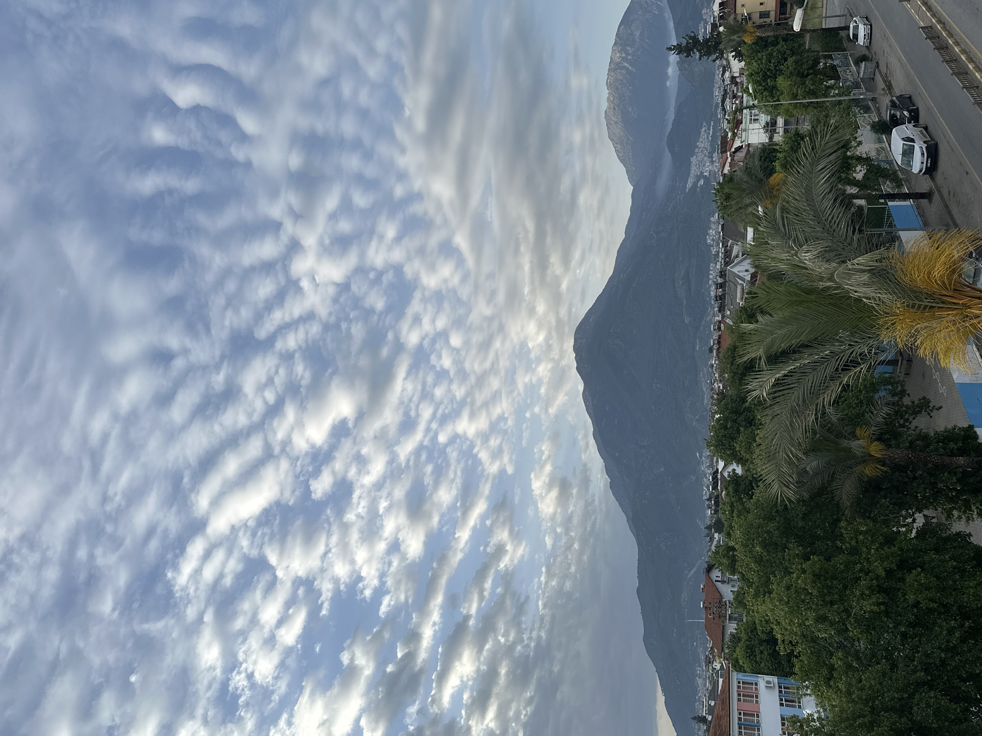 The image shows a mountainous landscape with a cityscape along the base of the mountains. The sky is covered with altocumulus clouds.
At the right side of the image, a road with vehicles is visible, including cars and vans. Buildings and trees are interspersed throughout the city. A palm tree is prominent in the foreground.
The picture suggests a location in Fethiye, Turkey, given the mountainous backdrop and the urban development at the base of the mountains.