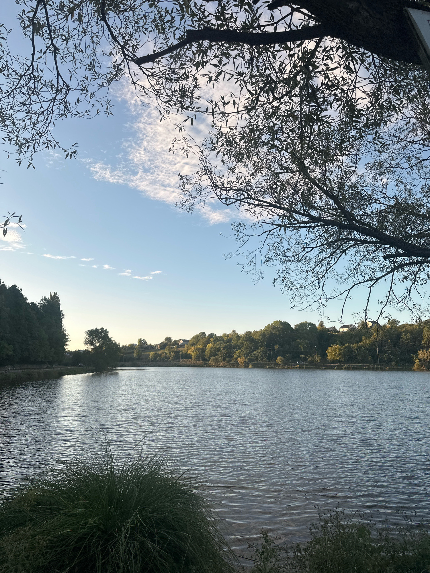 This is a landscape photograph of a serene lake at dusk, likely taken in Makiv, Ukraine. The foreground features lush, dark green grass and reeds bordering the water. The lake's surface is calm, with subtle ripples reflecting the soft twilight sky. Across the water, a dense line of trees, some with yellowing leaves indicating autumn, forms the distant shore. Small houses are visible nestled amongst the trees on a gentle slope. Above the trees, the sky is a clear, pale blue transitioning to a lighter hue near the horizon, with scattered wispy white clouds. The upper portion of the image is framed by the dark silhouettes of tree branches, their delicate leaves filtering the fading light. The overall atmosphere is peaceful and natural.