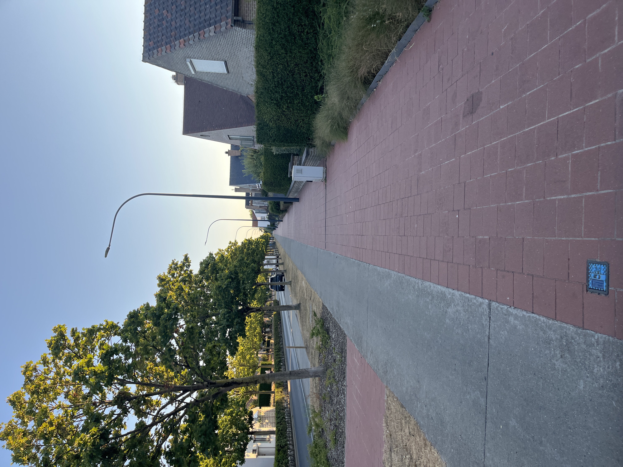 This image depicts a residential street in Ostend, Belgium, likely during a late afternoon or early evening due to the warm sunlight and clear sky. The viewpoint is from a paved sidewalk, looking down the street. The sidewalk is divided into two sections: the left side is a grey concrete path, bordered by a strip of dry grass and some low-lying plants. The right side of the sidewalk is paved with red brick pavers.
Along the left side of the street, a row of deciduous trees with full green canopies lines the road. Beyond the trees, houses with white facades and dark tiled roofs are visible. The street itself is asphalt, with a few cars parked or driving on it. A street lamp with a curved pole stands on the right side of the sidewalk, extending over the path.
On the right side of the sidewalk, behind a low brick wall, are well-maintained green hedges. A light-colored utility box or cabinet is positioned next to the hedge. Further down the street, more houses with pitched roofs and grey brick exteriors are visible, some featuring dormer windows. The overall impression is one of a clean, well-kept suburban environment. In the lower right corner of the concrete sidewalk, a small blue utility cover is visible.
