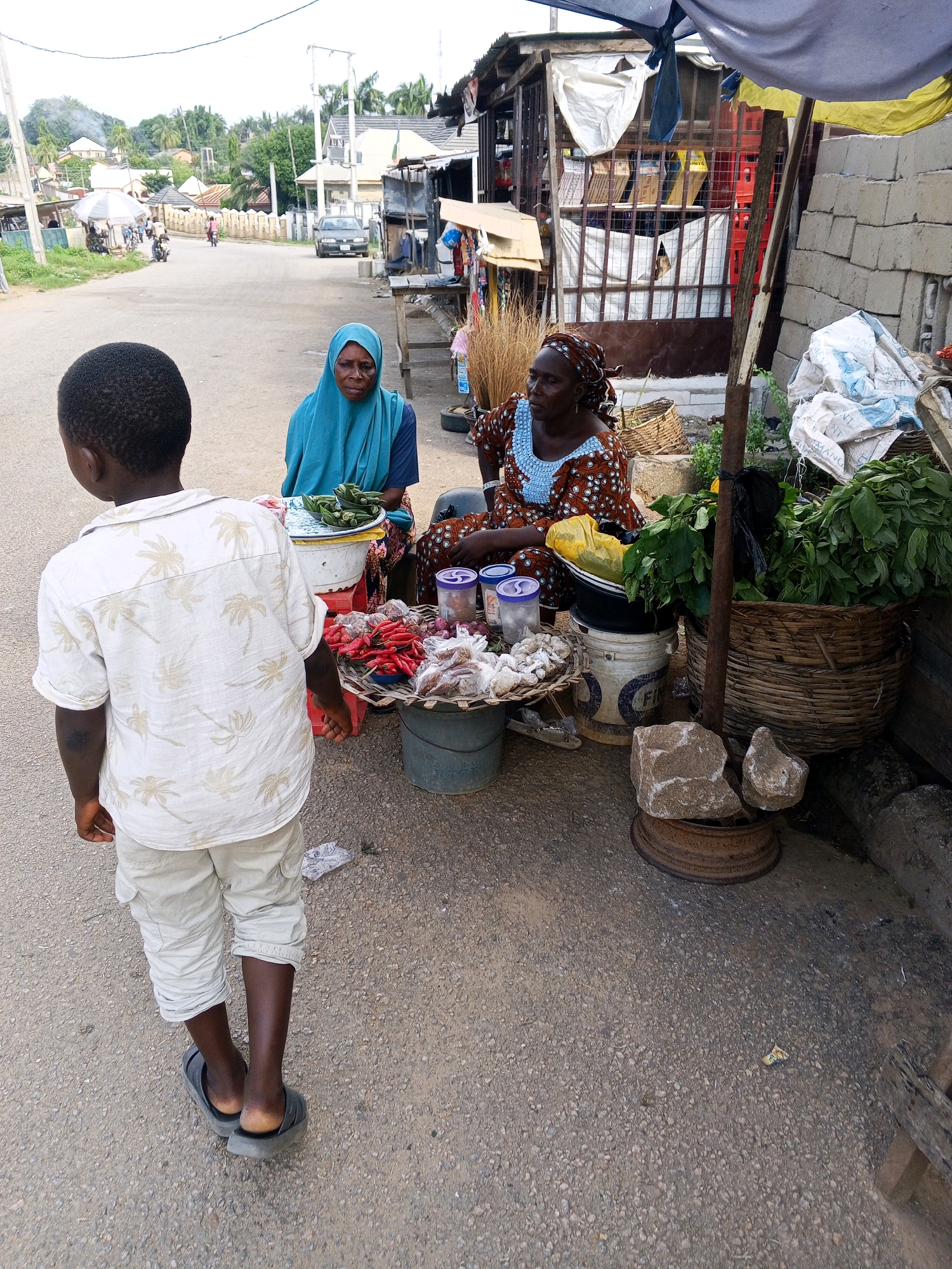A young Black boy, facing away from the camera, stands on a dirt road in Lokoja, Nigeria. He is wearing a short-sleeved, light-colored shirt with a palm tree print and light-colored cargo pants. His feet are in dark-colored slide sandals. To his right, a market stall is set up. A woman wearing a turquoise hijab and a blue top is seated behind a table displaying various produce, including okra. Next to her, another woman in a patterned brown and white dress sits with her hands near a collection of goods. The stall features baskets filled with green leafy vegetables and other items. In the background, buildings and trees are visible, suggesting a semi-urban or rural setting. The road surface is rough and appears to be a mixture of asphalt and dirt.