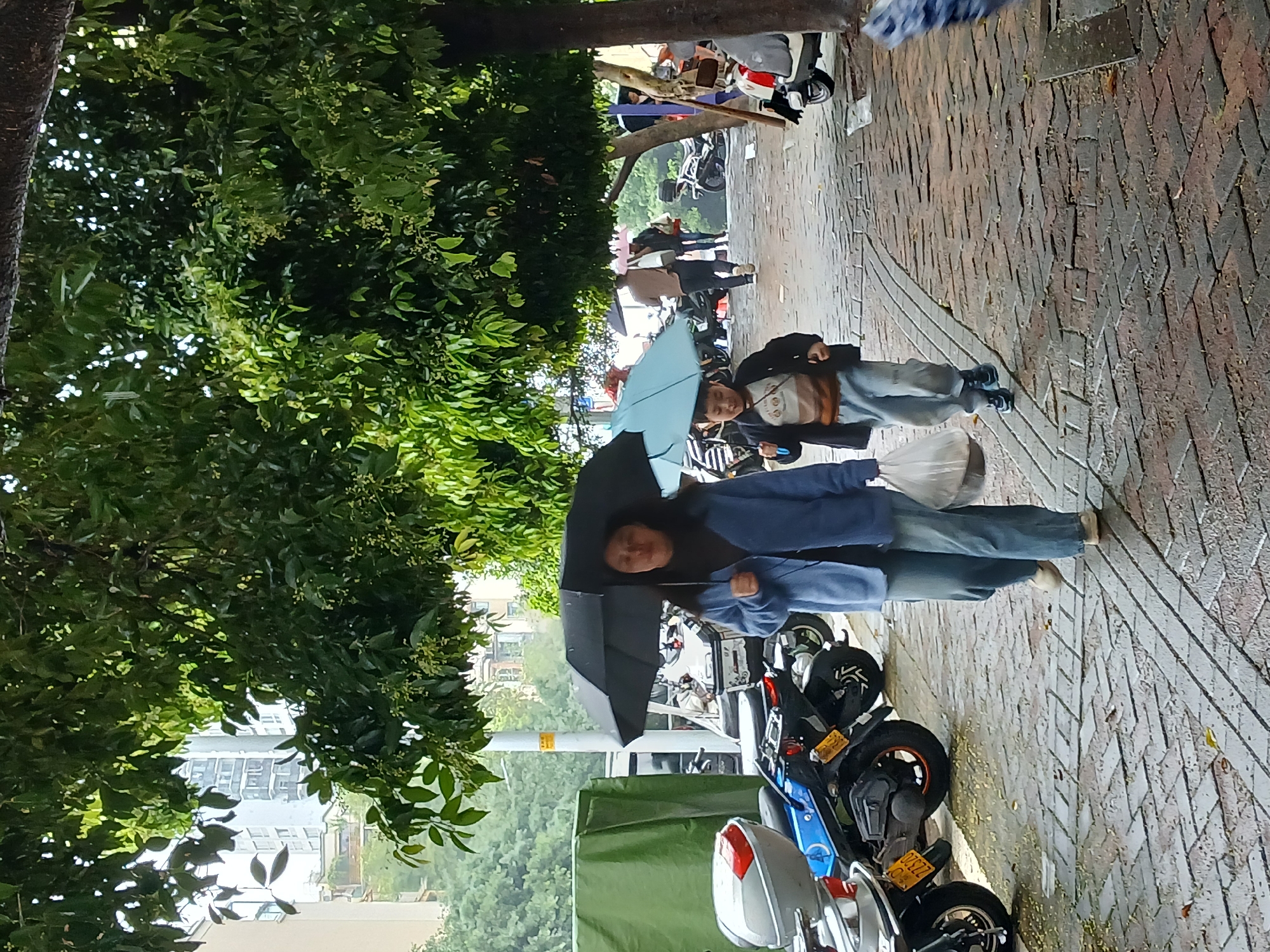 The scene depicts an urban sidewalk in Shapingba District, China, under overcast or rainy conditions, indicated by wet pavement and open umbrellas. An adult female and a young male child walk from left to right in the foreground. The woman wears a light blue cardigan and jeans, holding a black umbrella with her left hand and a white plastic bag with her right. The child, wearing a dark jacket over a light graphic shirt and light pants, holds a light blue umbrella with his left hand. Both subjects are focused on forward movement. In the midground, additional pedestrians are visible, one adult male walking away from the camera with a dark umbrella and a light-colored bag. A line of parked motorcycles and scooters extends along the left side of the pathway, prominently featuring a blue scooter with a yellow license plate marked ZZ320 and a silver top box. Dense green tree foliage, featuring small pale blossoms, forms a canopy overhead. Tall, light-colored multi-story buildings are partially visible through the foliage in the background. The sidewalk is paved with reddish-brown bricks laid in a patterned arrangement.