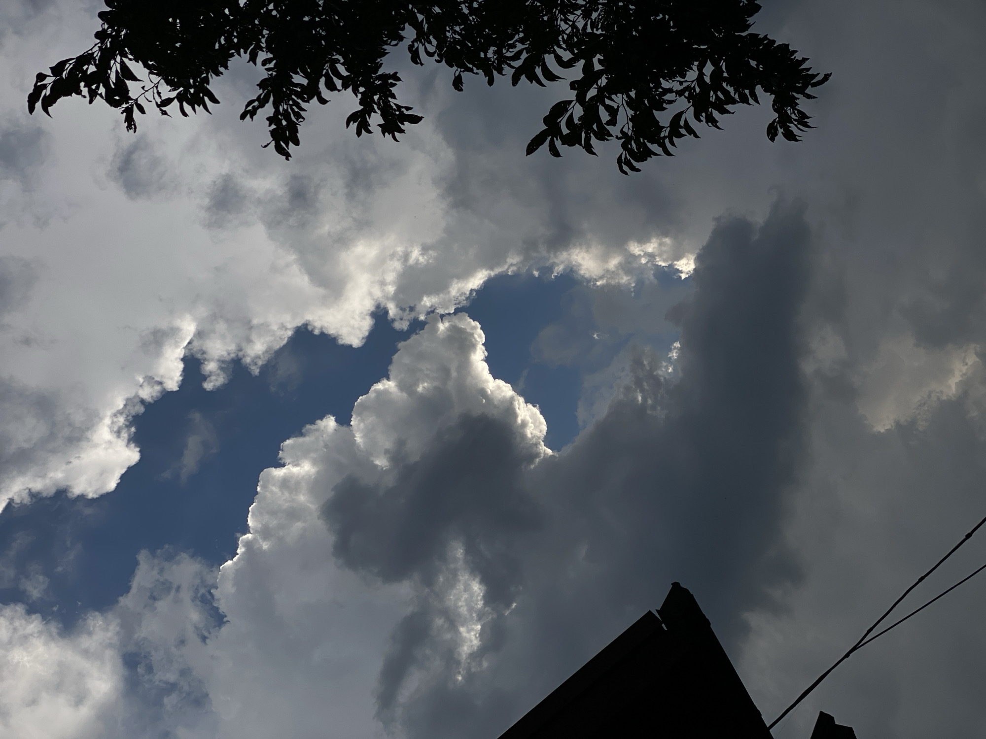 The image captures a dramatic sky over the city of Agronom, Russia. A large section of dark, ominous clouds dominates the frame, with breaks revealing patches of bright blue sky. Sunlight pierces through these openings, illuminating the edges of the clouds with a brilliant white glow, creating a strong contrast between light and shadow. In the foreground, the silhouette of a tree with dark leaves is visible on the right side of the image, its branches reaching upwards into the cloudy expanse. On the lower left, a portion of a dark, angular structure, possibly part of a building or roofline, is silhouetted against the sky, along with thin, dark wires that crisscross the lower portion of the frame. The overall impression is one of an impending storm or a dramatic shift in weather. There are no people or animals visible in the scene.