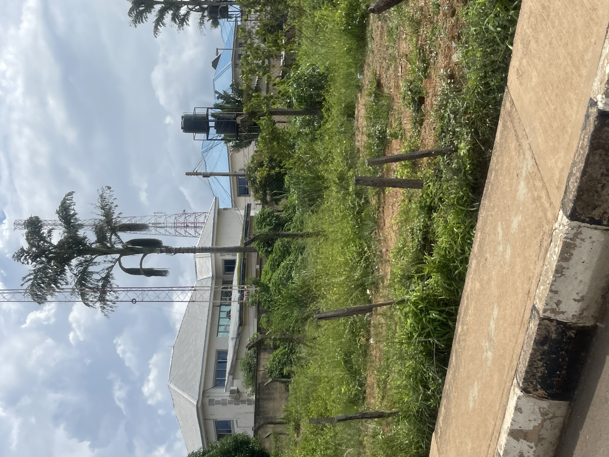 This is a landscape photograph taken outdoors on a cloudy day in Bar Jirgi Summa, Nigeria. The foreground features a concrete sidewalk with a worn, black and white striped curb. Beyond the sidewalk is an undeveloped plot of land covered in tall, green grass and some scattered dirt patches. Several rough wooden posts are planted in the ground, acting as a makeshift fence. In the midground, a concrete wall separates the undeveloped land from a more manicured area with lush green vegetation.
Further in the background, a modern building with a light-colored facade, white roof, and multiple windows is visible. To the right of this building, a tall palm tree stands prominently. Behind these structures, other buildings with distinctive blue roofs can be seen. Two large cell towers are also present in the scene, one tall and slender, the other wider and red and white. There are no people visible in the image. The overall impression is one of an urban fringe area with ongoing development and infrastructure.