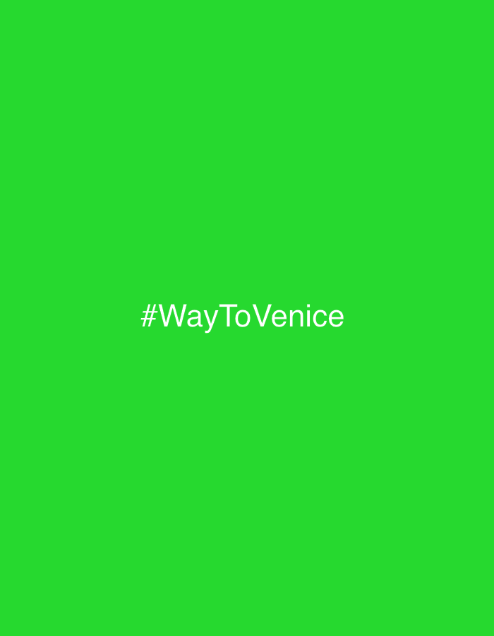 The image displays a solid, uniform green background. Centered on this field is white text, which reads "#WayToVenice". There are no visible people, subjects, objects beyond the text, actions, or interactions depicted within the image. The environment is a singular digital green color. This graphic is presented in the context of the city of Civita Castellana, Italy.