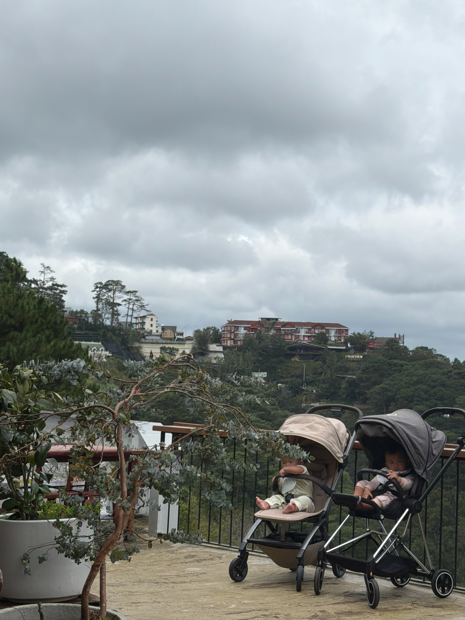 Two babies are seated in strollers on a paved balcony overlooking a lush green hillside dotted with buildings. The sky is overcast with heavy clouds. The stroller on the left is beige and faces slightly left, with a baby wearing a light-colored outfit and bib. The stroller on the right is dark gray and faces forward, with a baby in a pink outfit and bib. In the foreground, a potted plant with sparse branches and leaves is positioned to the left. A black metal railing lines the edge of the balcony. The buildings on the hill appear to be a mix of residential and possibly hotel properties, with red-tiled roofs visible on some. The overall setting suggests a viewpoint in Da Lat, Vietnam, known for its hilly terrain and cooler climate.