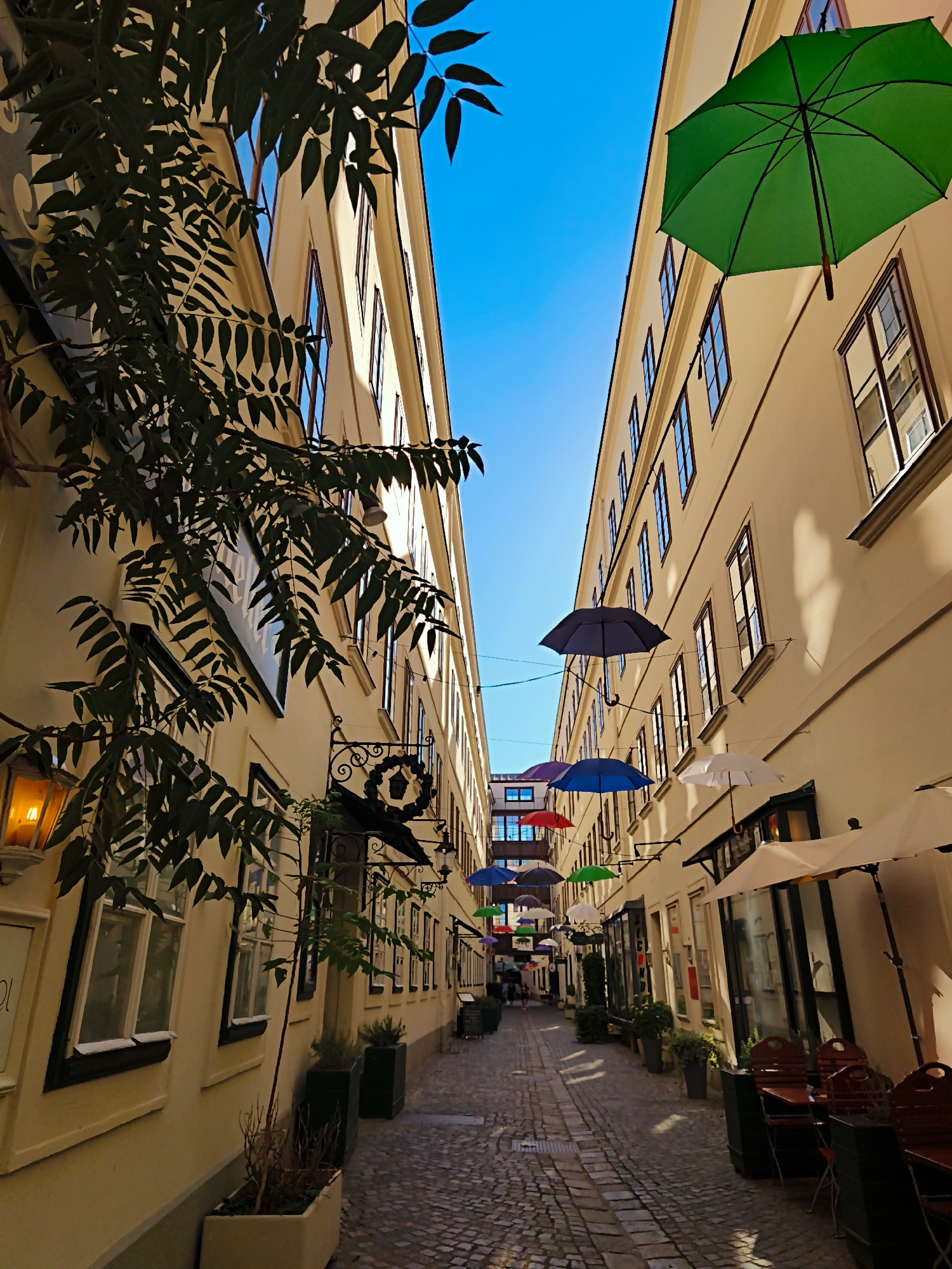 The image shows a narrow cobblestone alleyway in Vienna, Austria, lined with buildings adorned with hanging umbrellas of various colors, predominantly green, blue, red, and white. The buildings, painted in a light yellow hue, feature numerous windows and decorative elements, with awnings over some ground-floor establishments. A lush green tree with dark leaves is prominently situated on the left side of the alley, partially obscuring the view of the building. In the foreground on the right, outdoor seating with chairs and tables suggests a cafe or restaurant. The sky above is clear and blue. The overall impression is a charming and vibrant urban scene.