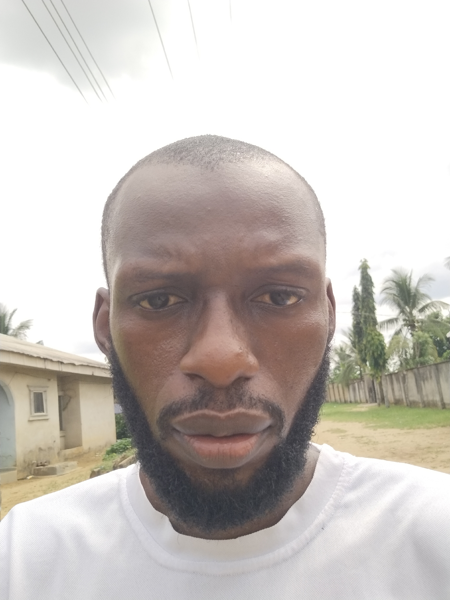 A medium, slightly high-angle close-up shows a dark-skinned man with a shaved head and a full, dark beard. He is wearing a white t-shirt and has a neutral to slightly frowning expression. The background includes a pale, single-story building with a window, along with a fence, palm trees, and other trees. Overhead are power lines. The presence of the palm trees and the architectural style suggest a location within a tropical environment in Uyo, Nigeria. The ground visible in the background appears to be a dirt or sandy surface.