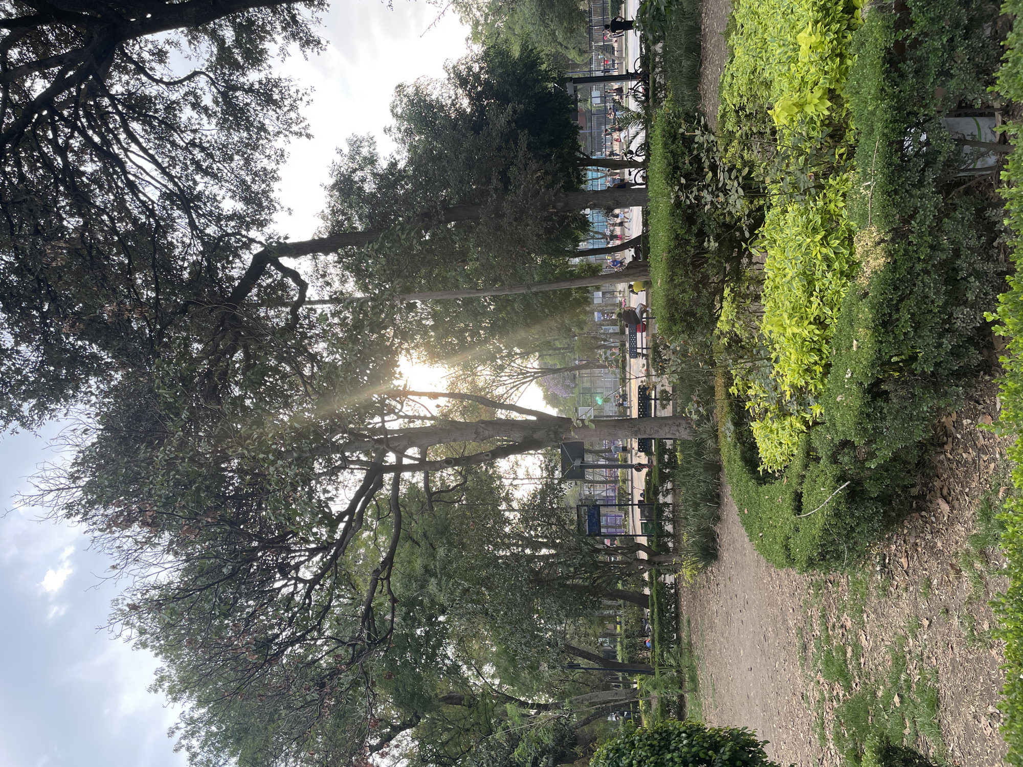 The image shows a park scene in Mexico City, Mexico. In the distance, there is a fenced-off area with people and bicycles present. Trees line the path on both sides, with sunlight filtering through their branches. A walking path is visible, covered with dirt and fallen leaves. Manicured hedges border the path on the right.