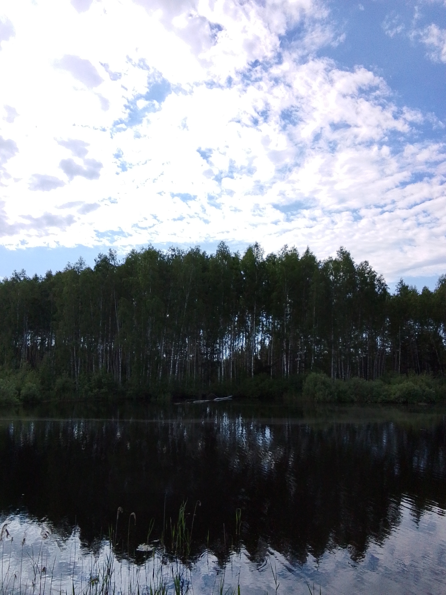 The image depicts a still body of water reflecting a line of trees under a cloudy sky. Reeds grow along the water's edge. The location is stated as 1-Go Maya, Russia, though this cannot be verified from the visual information. The scene appears peaceful and natural.