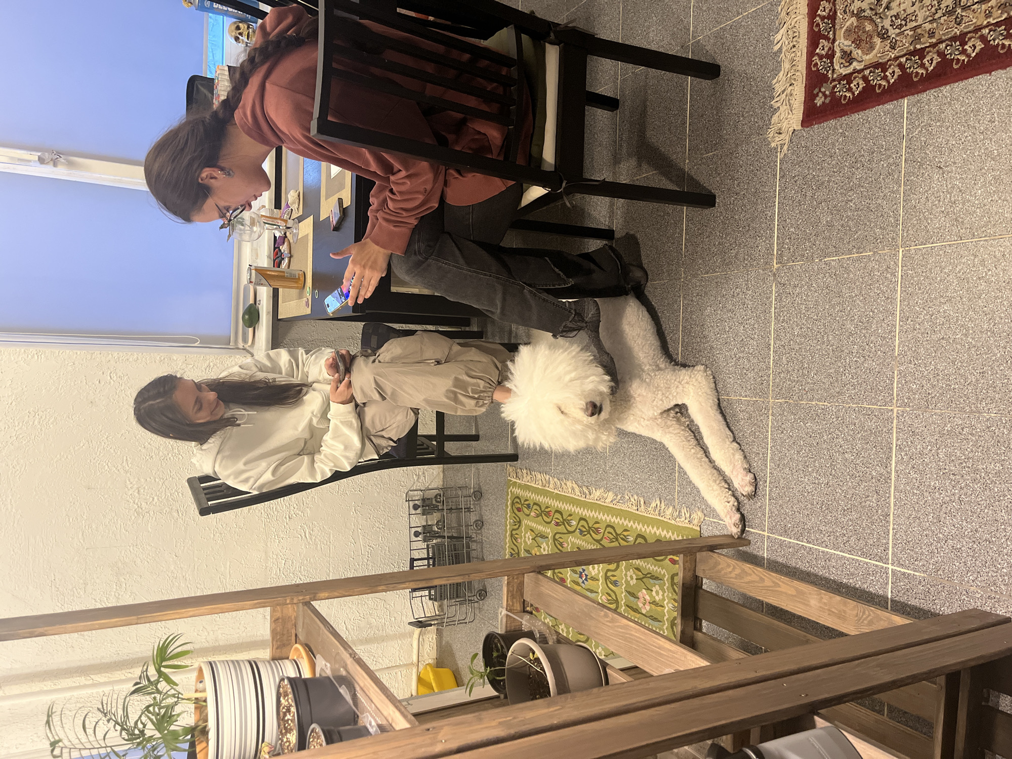 Two people and a dog are in a room. One person with a braid is sitting at a desk, looking at a cell phone in their hand. The person is wearing glasses and a reddish brown hoodie, dark pants and shoes. The second person is seated with crossed legs and has long dark hair. They are wearing a white hoodie. A large white dog is lying on the tiled floor near the first person's legs. A brown wooden shelf with plants on it is in the foreground. A rug is partially visible near the top of the image.