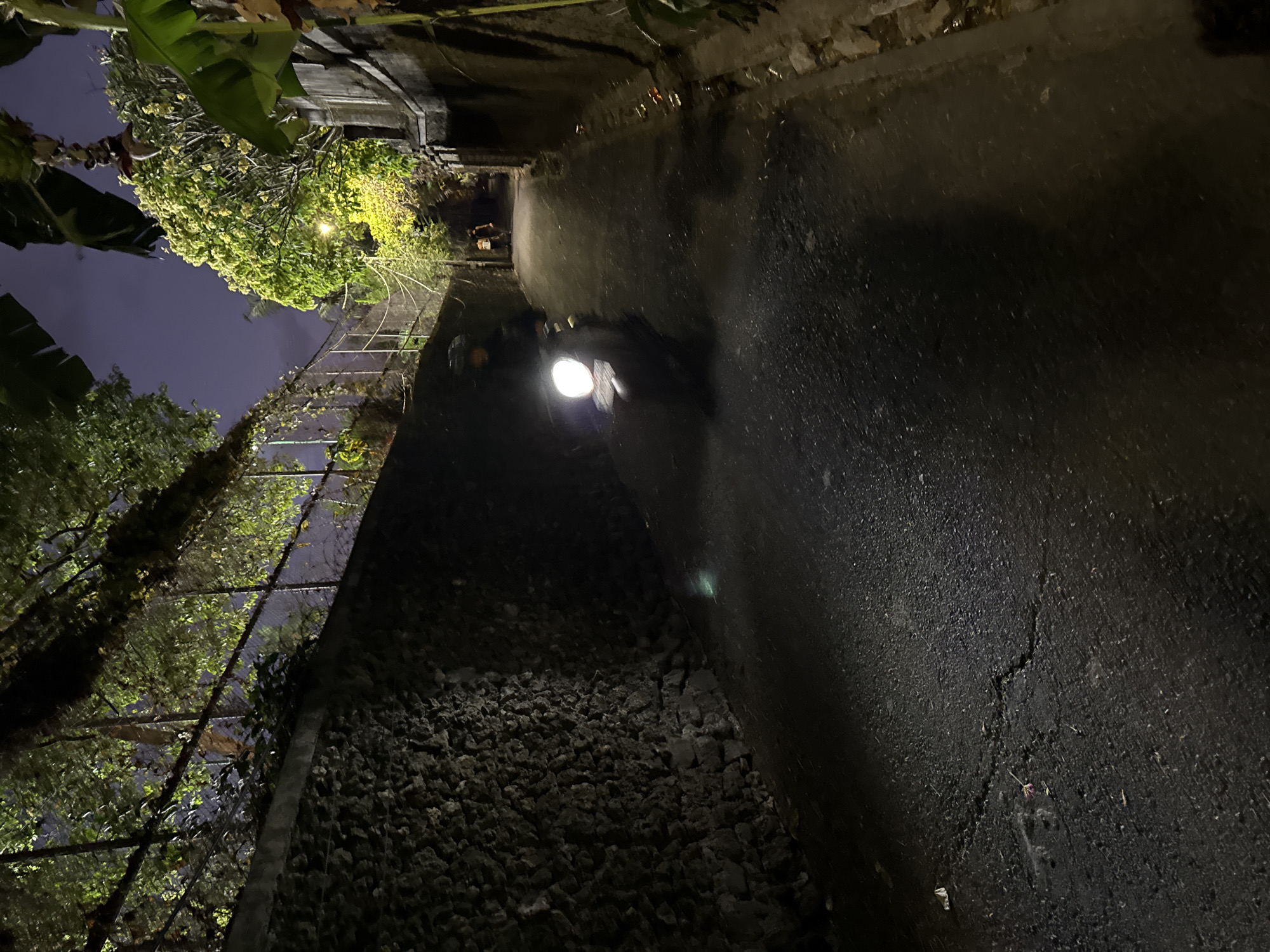 The image depicts a narrow, dimly lit street scene at night, likely in Denpasar, Indonesia. A motorcycle with its headlight on is the central focus, moving from left to right in the foreground, casting a bright light on the asphalt road. The road itself is cracked and uneven, with a faint sheen suggesting it might be wet or recently rained upon.
To the left of the road, a rough-hewn stone wall forms the boundary of the scene. Above this wall, a chain-link fence is visible, draped with dense foliage, creating a shadowed canopy. To the right, another wall, possibly made of concrete or stucco, runs along the edge of the street. Small piles of debris and discarded items are scattered along the base of this wall.
Further down the street, two figures can be seen walking away from the camera, their forms silhouetted against the faint ambient light. The sky above is dark with a hint of twilight. Lush greenery, including what appears to be banana leaves, hangs from the trees and plants bordering the street, contributing to the enclosed and somewhat tropical atmosphere. The overall impression is of a quiet, residential alleyway at night, with the motion of the motorcycle being the primary indicator of activity.