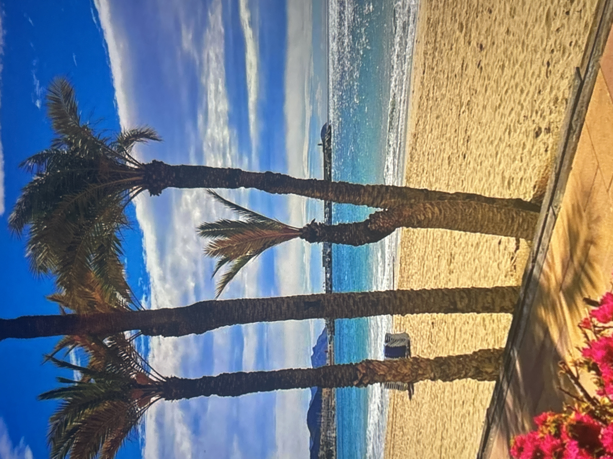 A vibrant, sunny beach scene is captured, oriented on its side. When rotated upright, the image depicts a sandy shoreline with several tall palm trees stretching towards a bright blue sky filled with long, wispy white clouds.
In the foreground, the thick trunks of three large palm trees rise from the lower edge of the frame, their green fronds reaching upwards and partially into the sky. To the far right, a section of a light brown/orange building or wall is visible, with vibrant pink and red flowers, possibly bougainvillea, blooming in the bottom right corner.
The middle ground features a wide expanse of light brown sandy beach meeting the clear, turquoise-blue ocean. Gentle white waves lap at the shore. A small, dark object, possibly a beach chair or umbrella, is visible on the sand in the distance. Further out in the water, a pier or jetty extends, with a small, indistinct dark structure at its far end.
In the background, beyond the ocean, the faint outlines of mountains or hills can be seen under the vast sky. The scene suggests a peaceful, warm day, likely mid-day, with strong natural light. No discernible text is visible anywhere in the image.