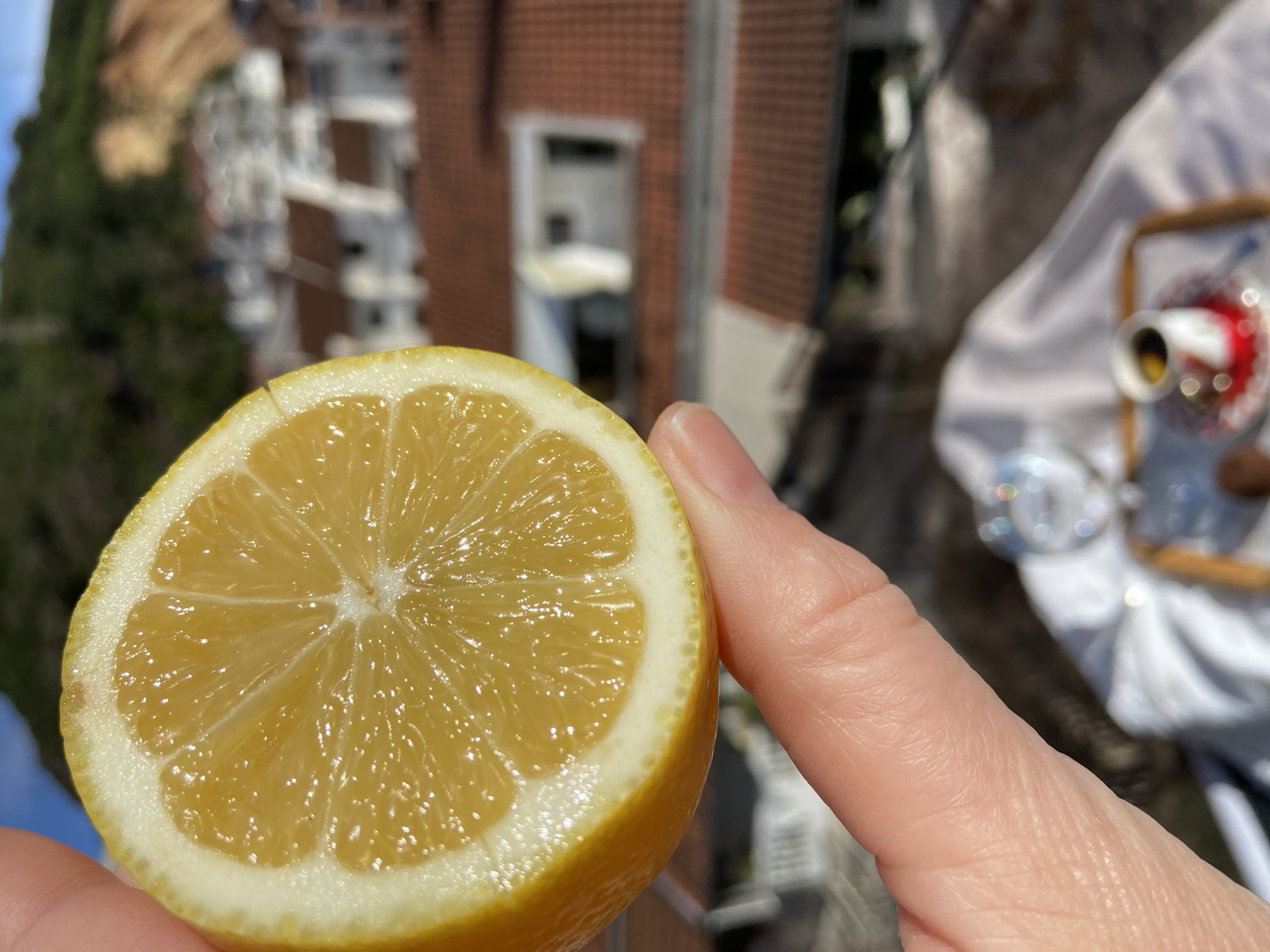 A close-up, medium shot taken outdoors shows a hand holding a halved lemon in front of a blurry urban background. The lemon is the primary subject, displaying its juicy yellow segments and thick white rind. The hand appears to be holding the lemon firmly. In the background, buildings suggest a residential area; a light-colored building with dark windows is visible, alongside greenery. A glimpse of a white tablecloth, a saucer, and a red-and-white cup are also discernable on a table. The setting is potentially a balcony or an outdoor cafe. The overall scene is situated in Budva, Montenegro.