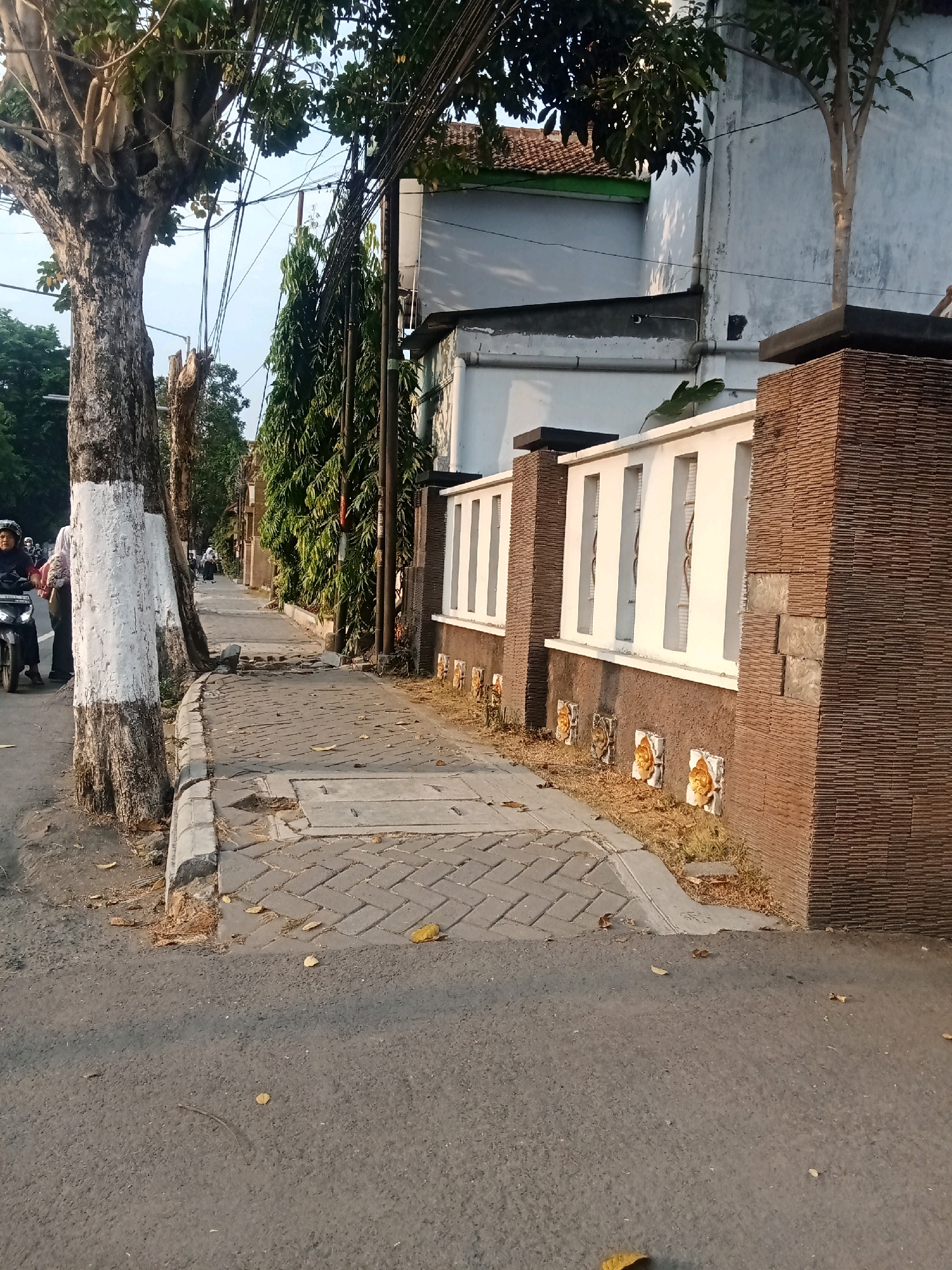 The image depicts a sidewalk and street scene in Kaliwungu, Indonesia. A large tree with white-painted markings on its trunk stands on the left side of the sidewalk. A person wearing a helmet is riding a motorcycle on the asphalt road to the left of the tree. The sidewalk, paved with interlocking bricks, is bordered by a curb and a low decorative wall. This wall features a brown stone facade on the right and a white section with rectangular openings. Further down the sidewalk, several other pedestrians are visible in the distance, walking along. The environment includes electrical wires overhead, a building with a light-colored wall and a tiled roof, and dense green foliage. Fallen leaves are scattered on the sidewalk and the road.